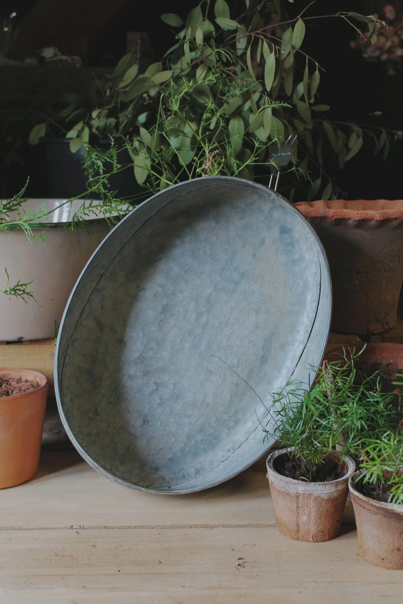 Zinc Potting Tray