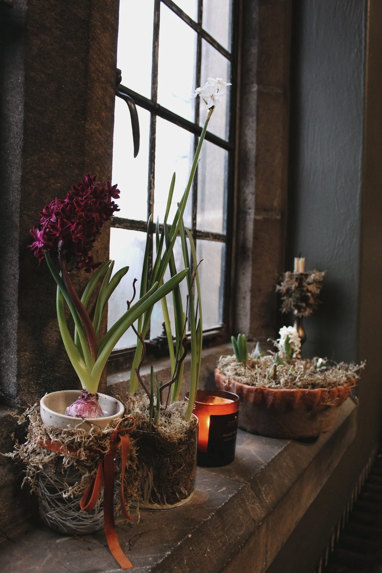 Stoneware bulb forcers with bulbs, moss and ribbon on a studio windowsill