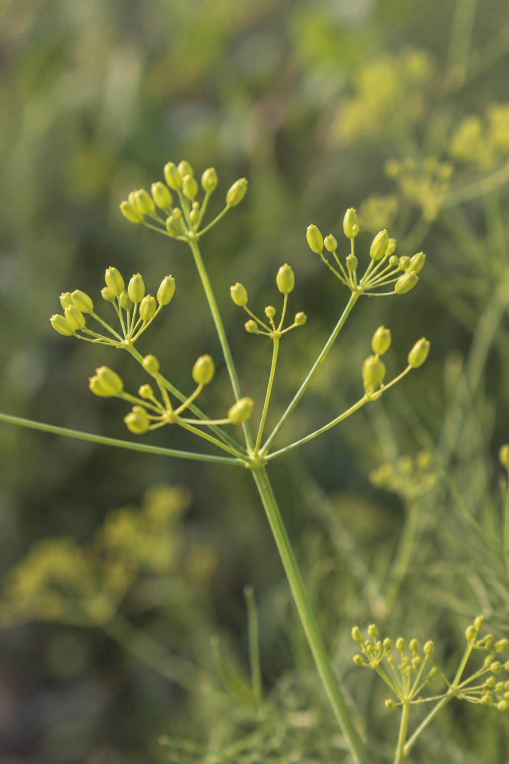 9CB0217B-7D79-4731-A1F8-AEB04F9152CF.png