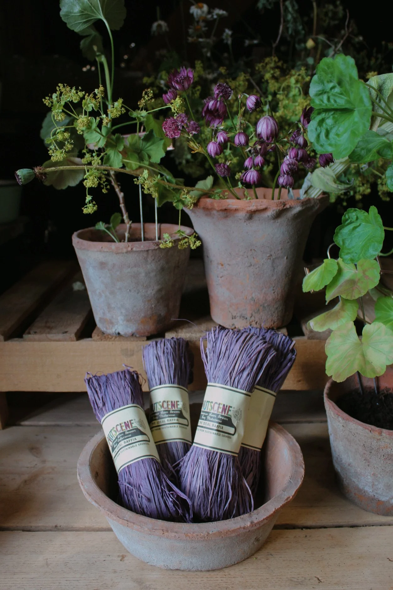 Mossing Raffia