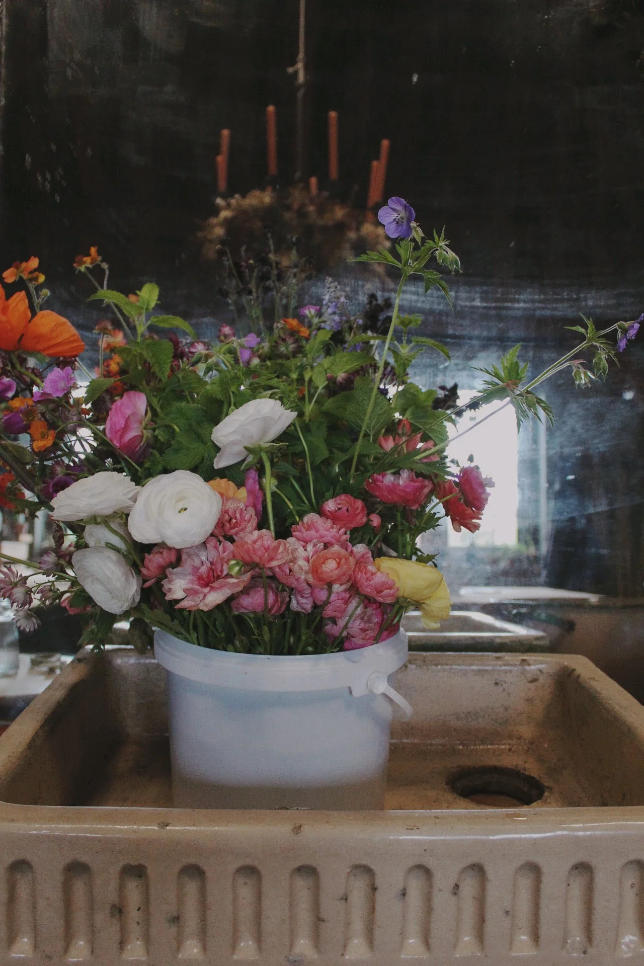 The Harvest