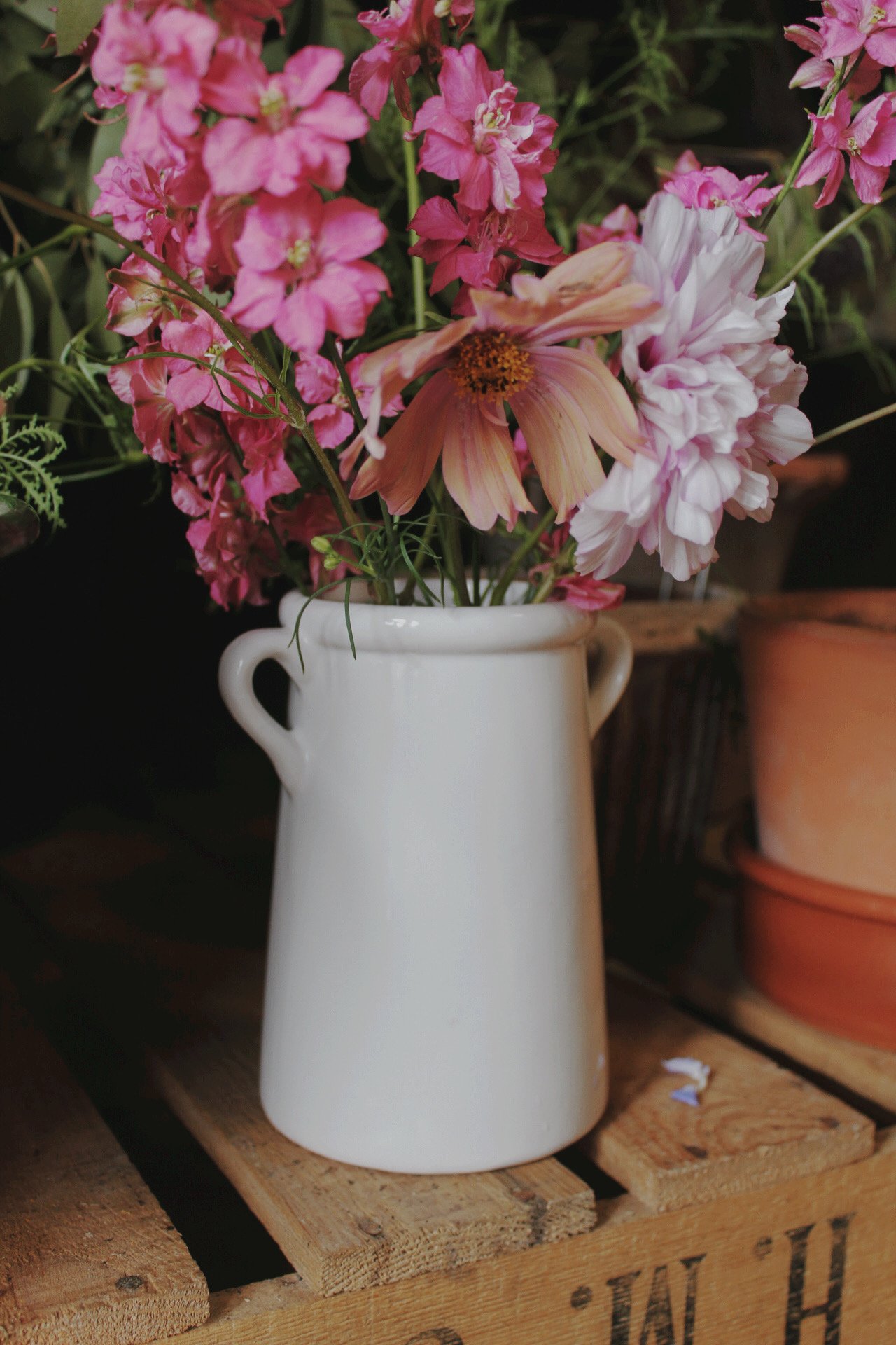 IMG_5016_Afterlight.jpeg