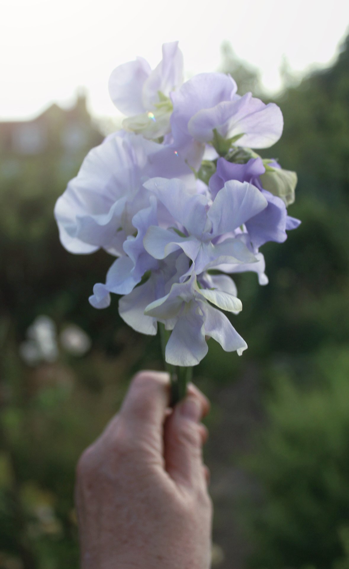 ld-export-66bacd68-08272024.jpeg