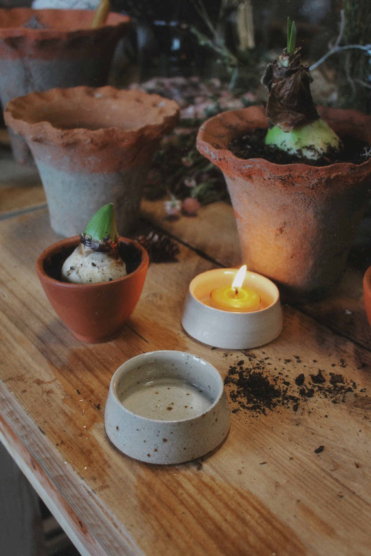 Parchment stoneware candle dish with a beeswax tealight displayed among green potted bulbs and terracotta pots on a bench.