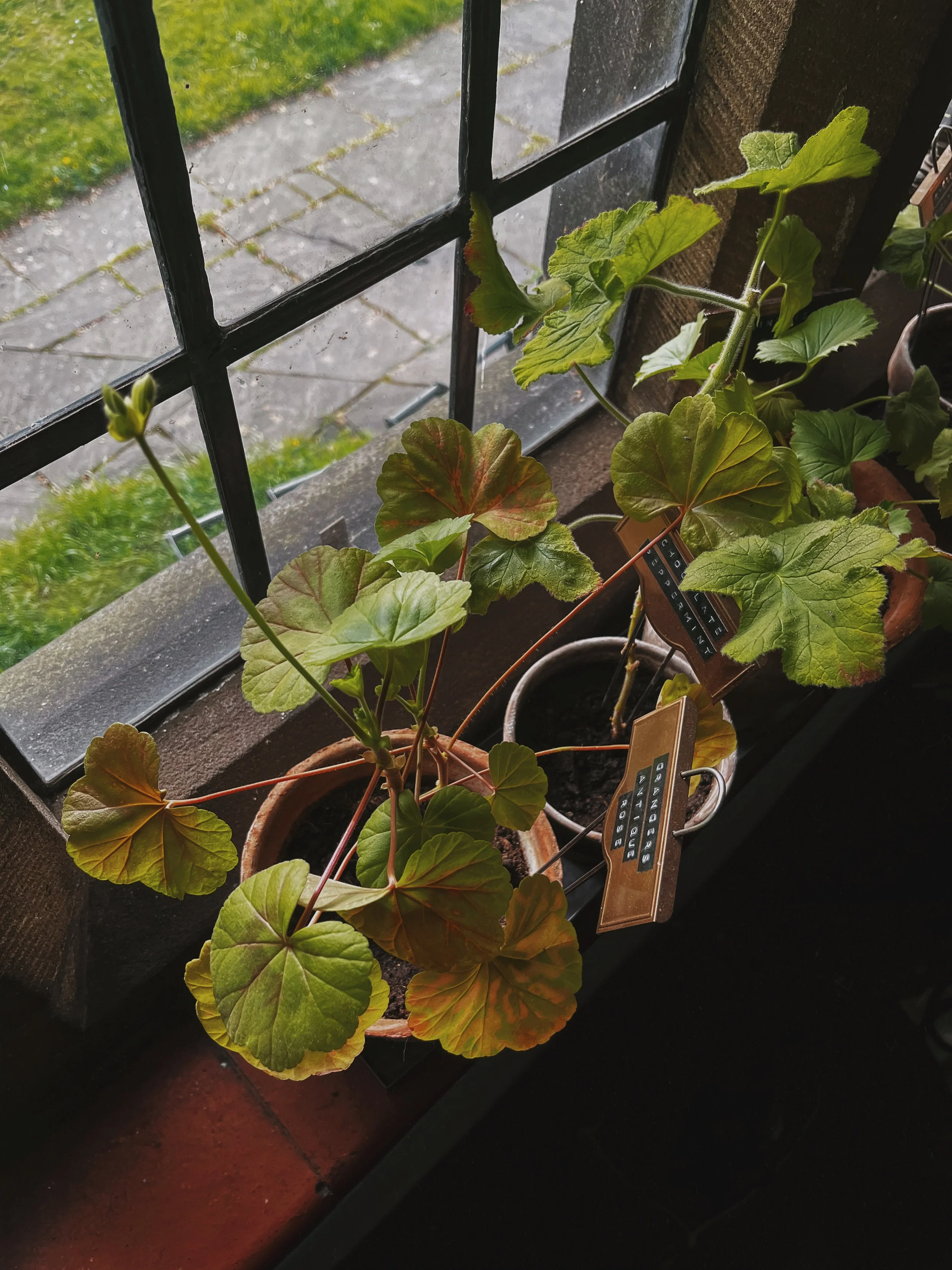 From the Worktable: Studio Windowsill