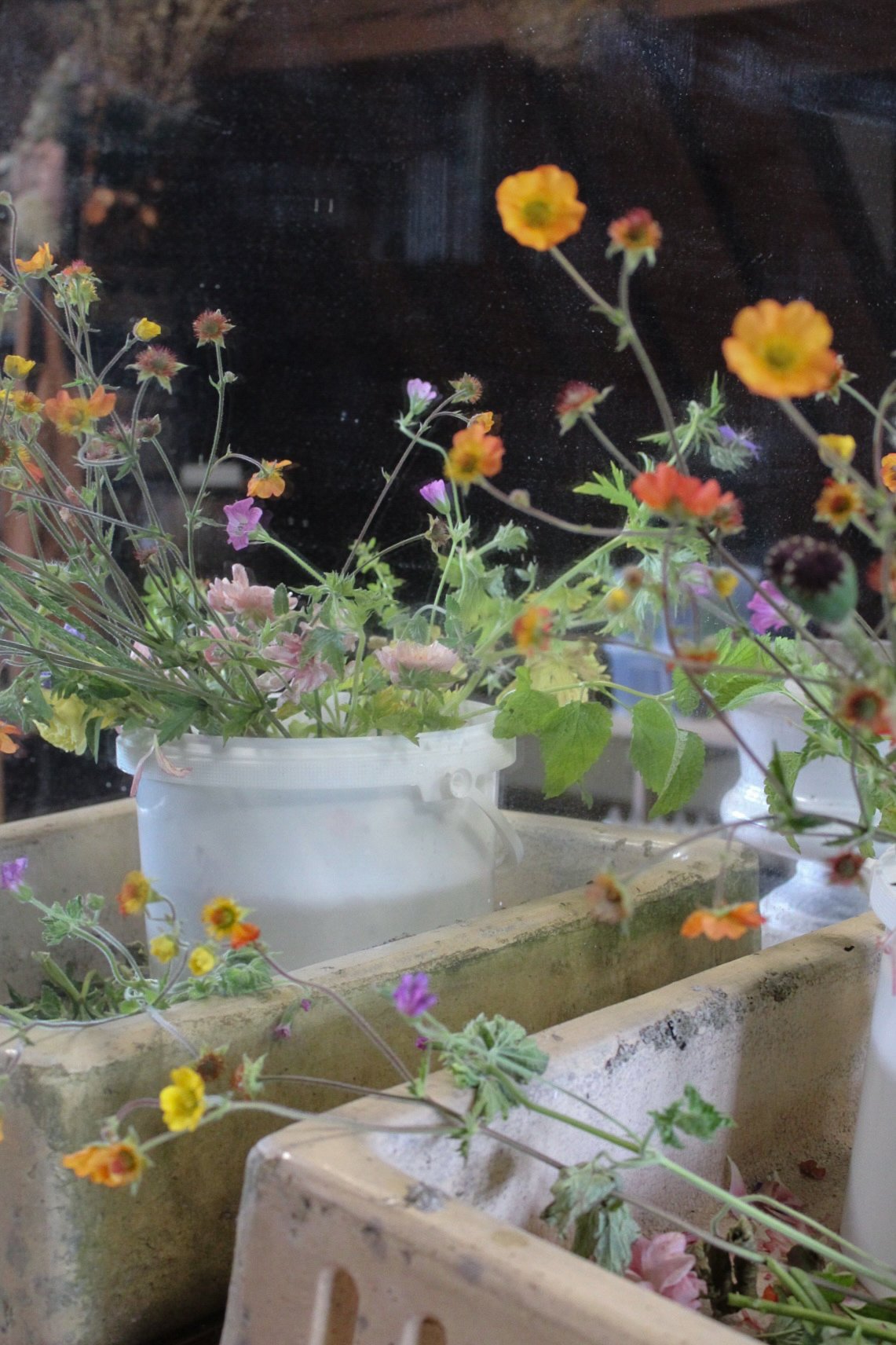 Seasonal flowers being prepared in the studio