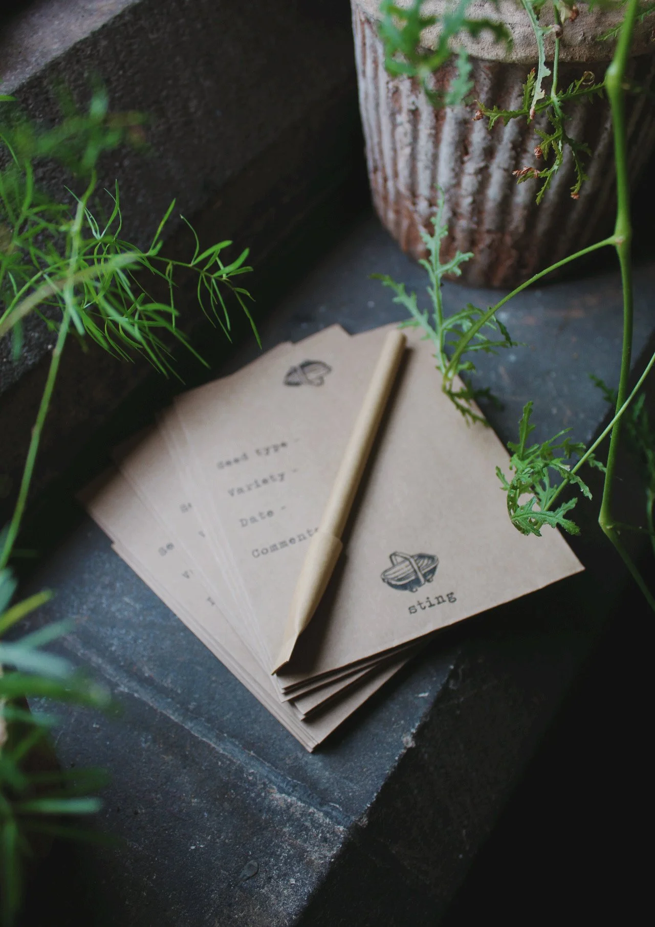 Seed saving envelopes and eco pen pack, shown among garden plants.