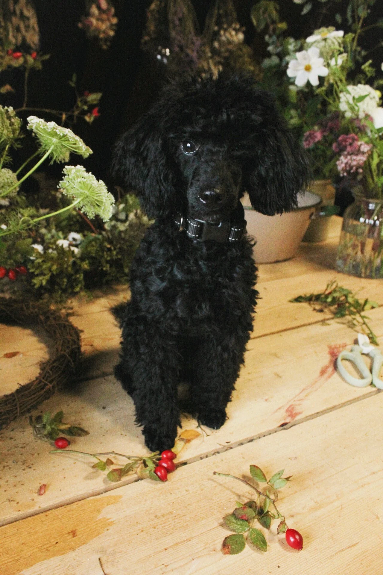 Florence in The Wild Potager Co studio, surrounded by flowers and floristry work.