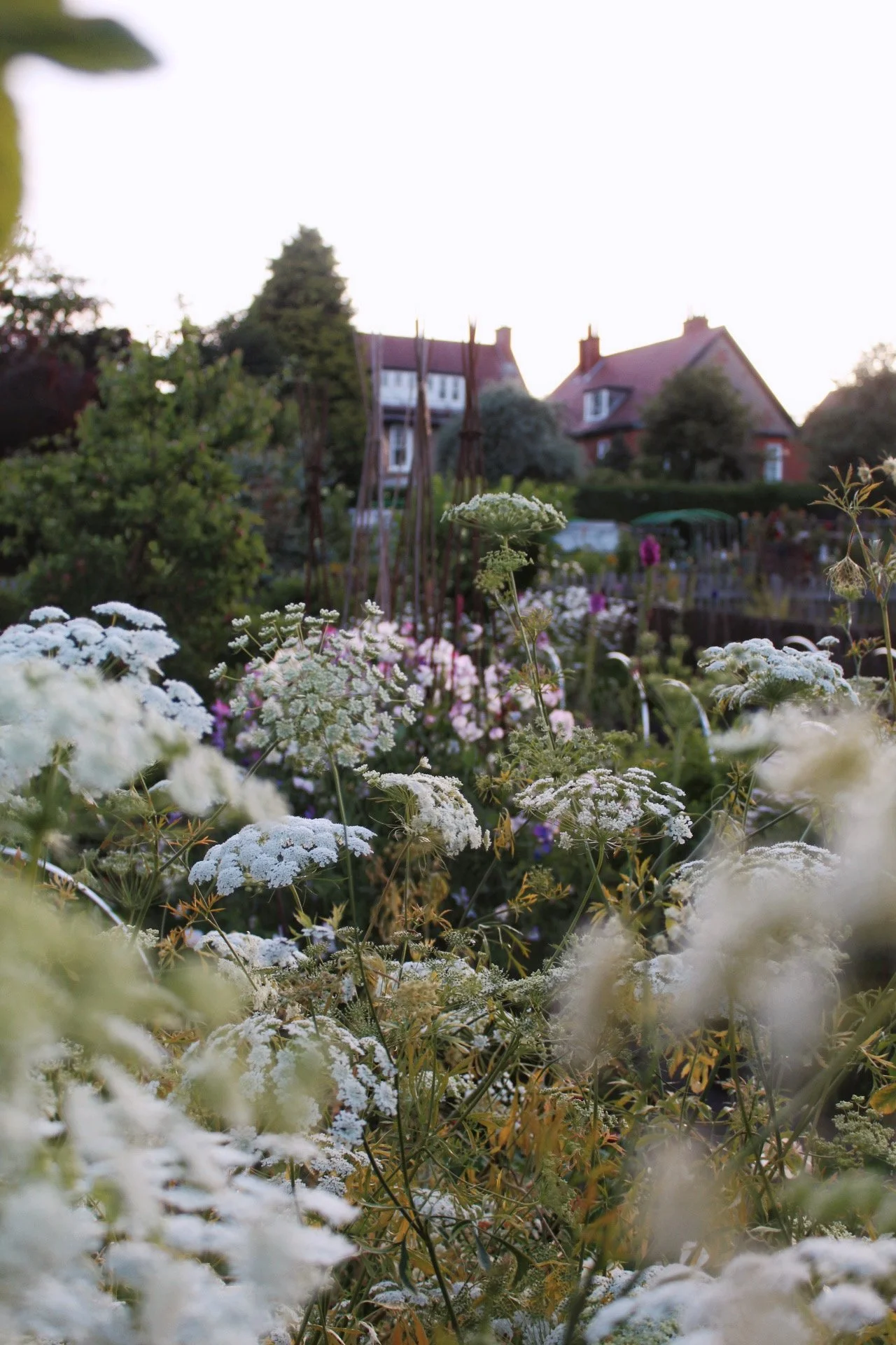 The Wild Potager Co potager garden filled with flowers and foliage
