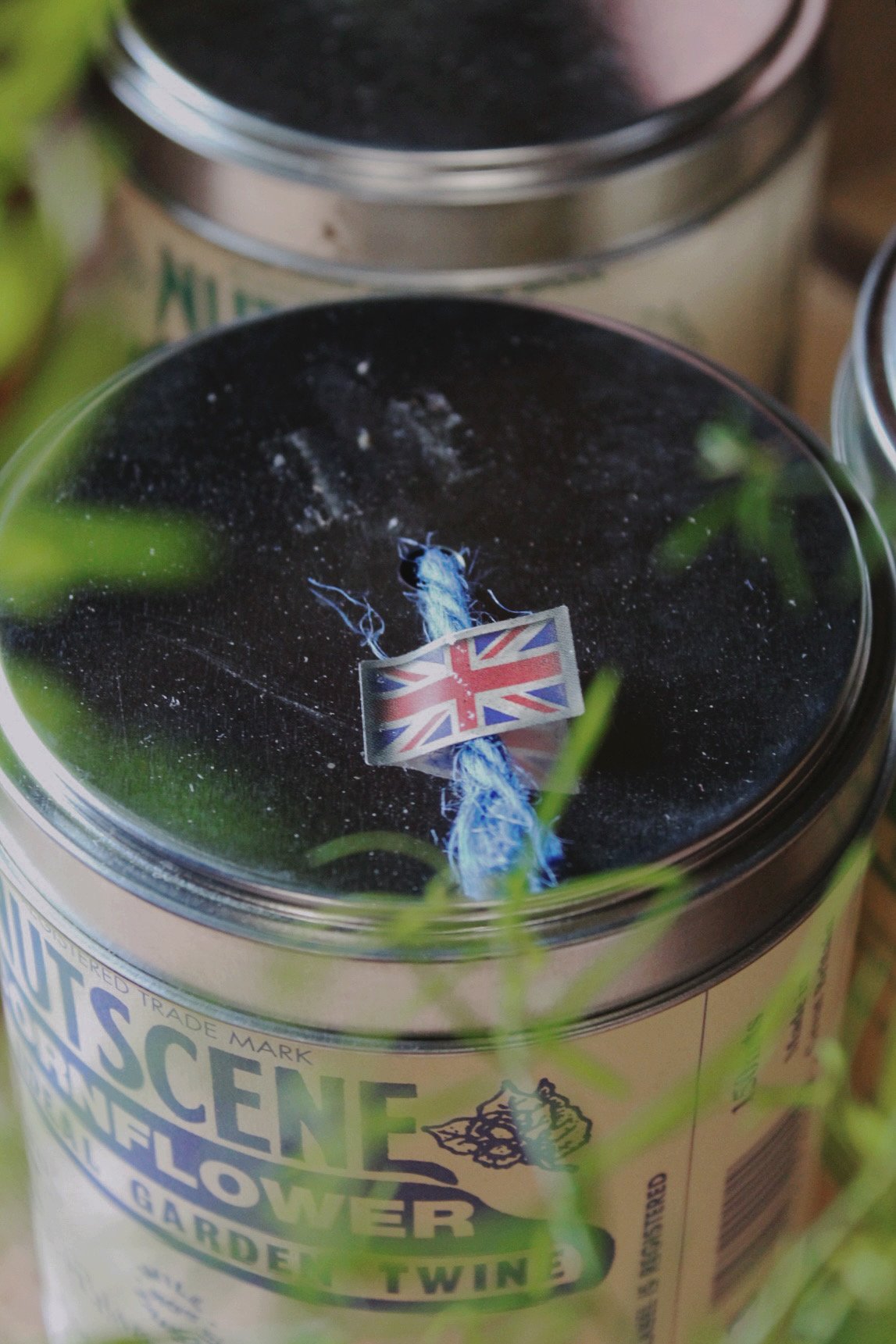 Twine in a Tin with cornflower blue, marine twist and peapod green garden twine options.