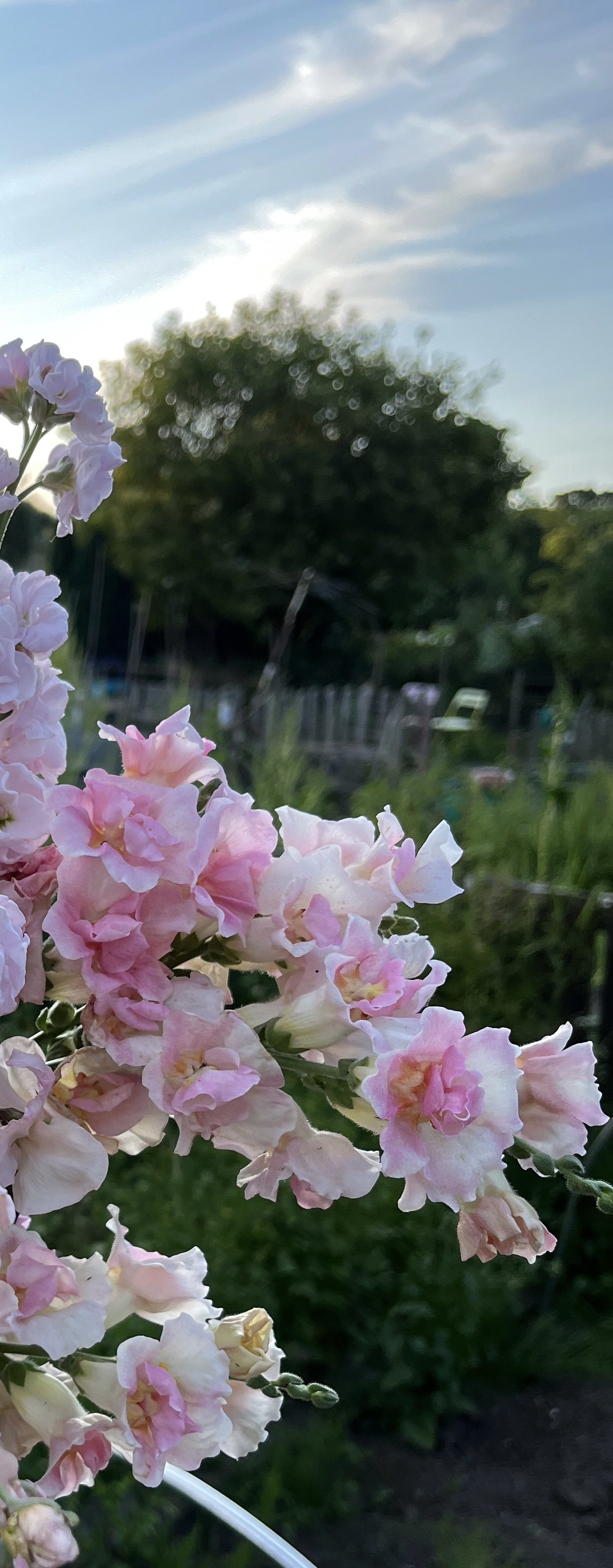 IMG_8300.jpeg