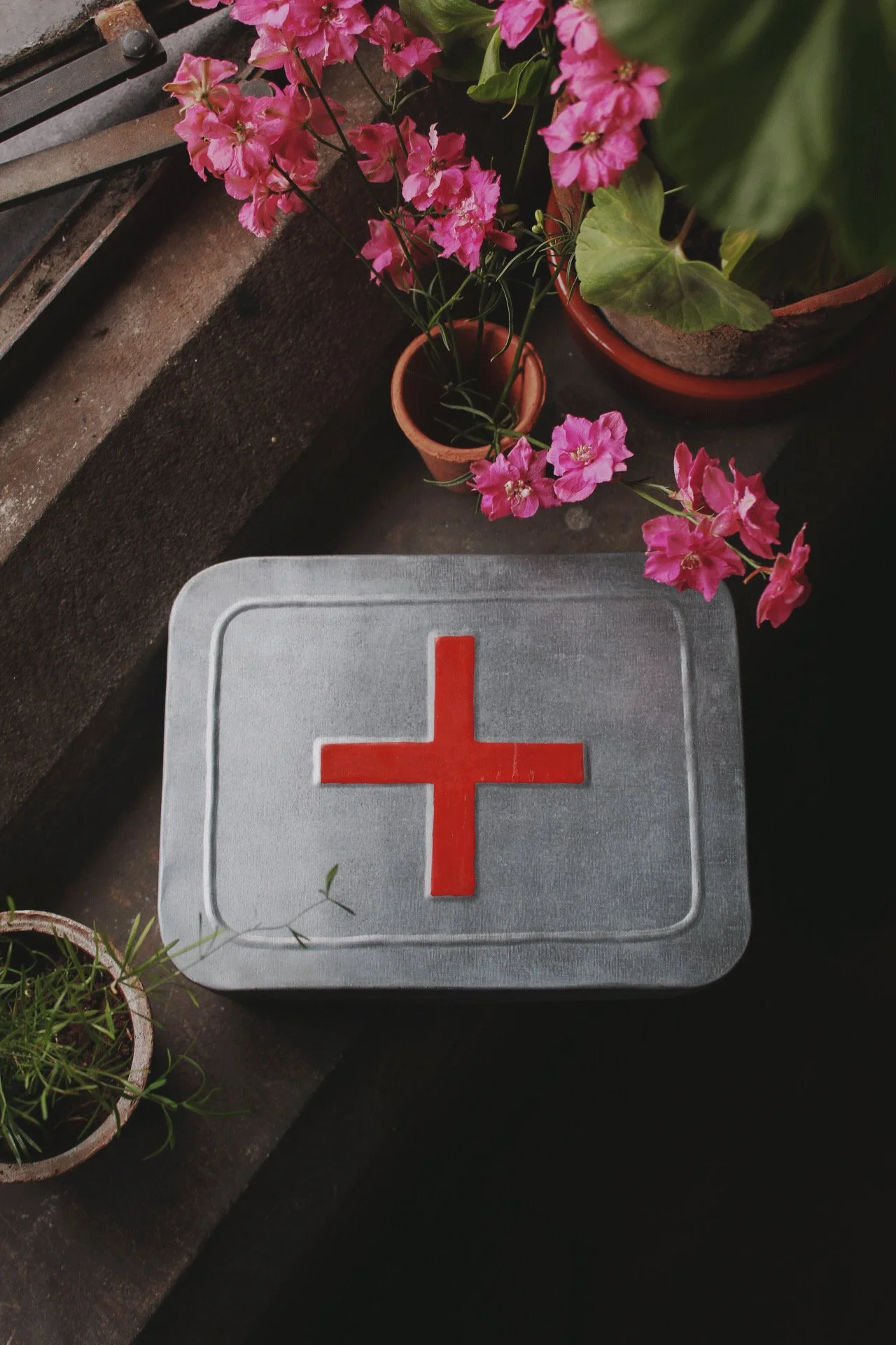 Potager Rescue Tin