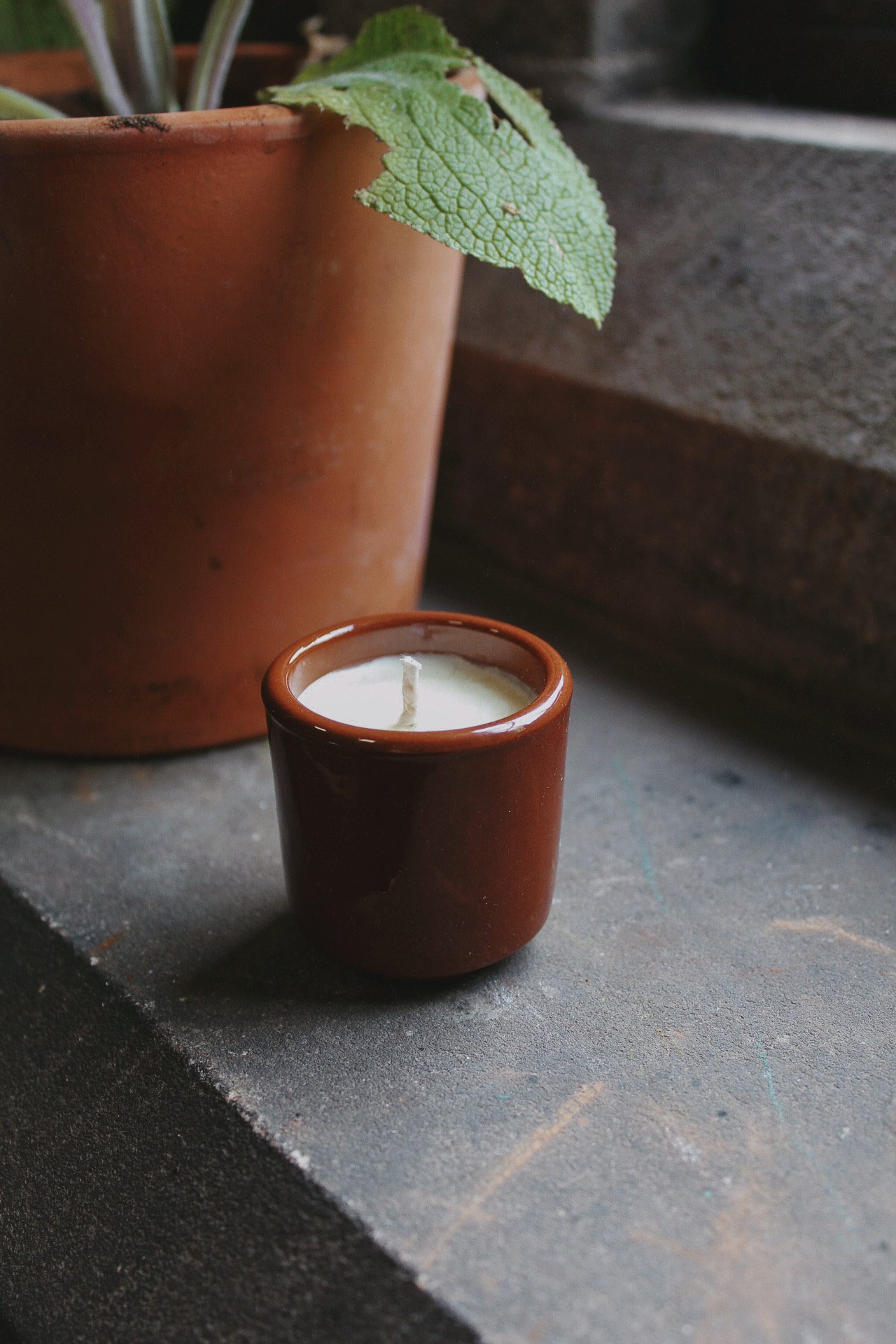Rushlight Candle in a glazed terracotta pot, arranged on a windowsill among potted plants.
