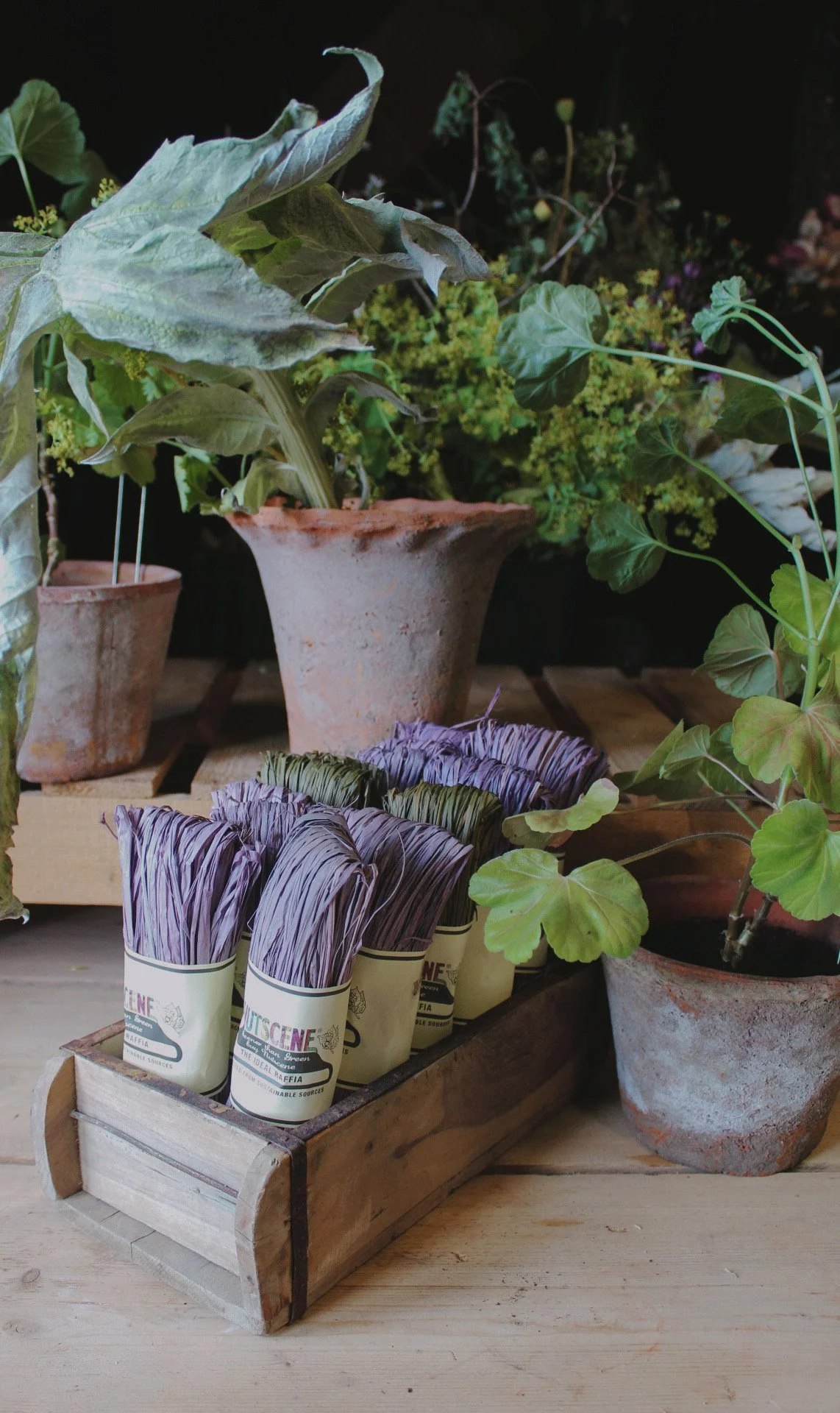 Mossing raffia in Wild Rose, Olivine and Blush