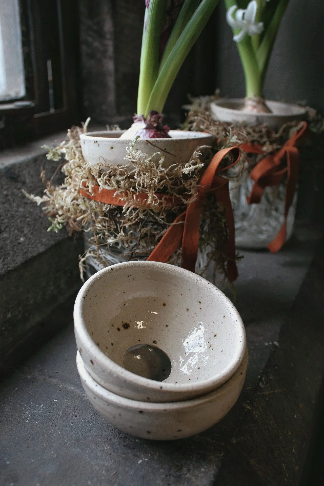 A Hyacinth for the Window