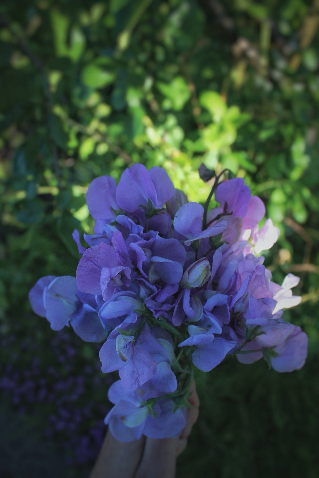 IMG_8448.jpeg