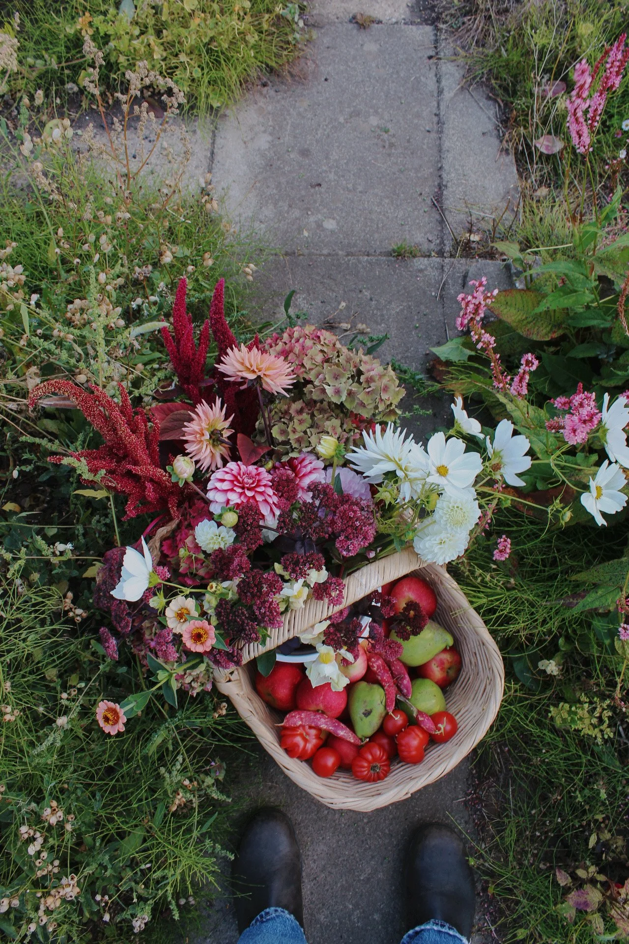 Autumn flowers in shades of pink, burgundy and white arranged above a basket of freshly gathered apples and tomatoes along a potager garden path.