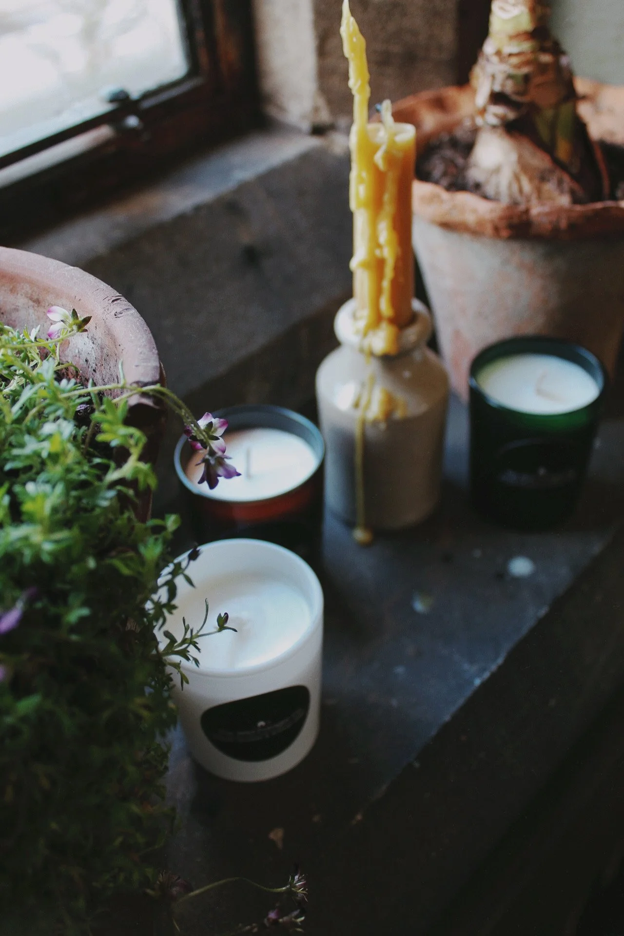 Chalk, moss and resin glass candles from The Wild Potager Co. photographed together in the potager studio.