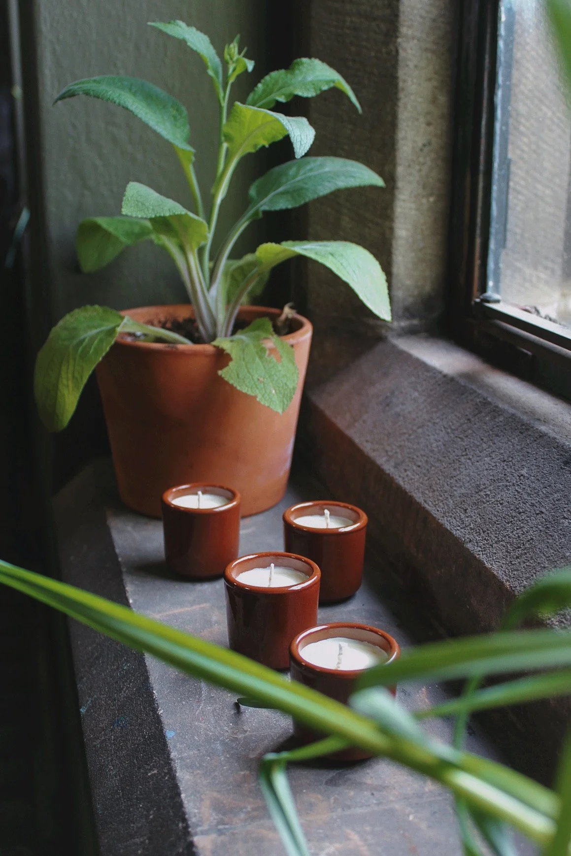 The-Wild-Potager-Co-Rushlight-Candle.jpg.jpeg