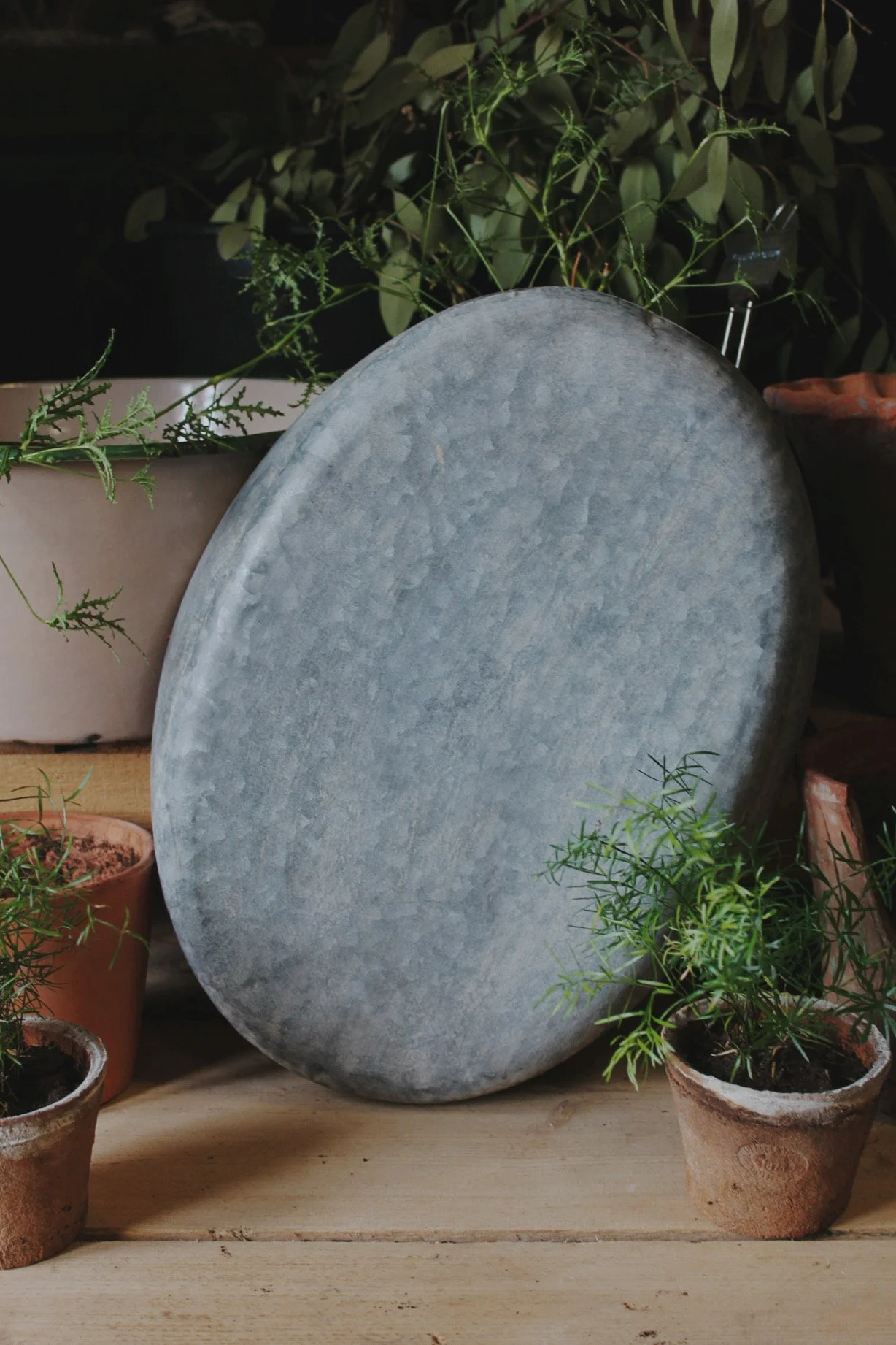 Oval zinc potting tray leaning against terracotta pots on a wooden potting bench, with small potted plants and foliage.