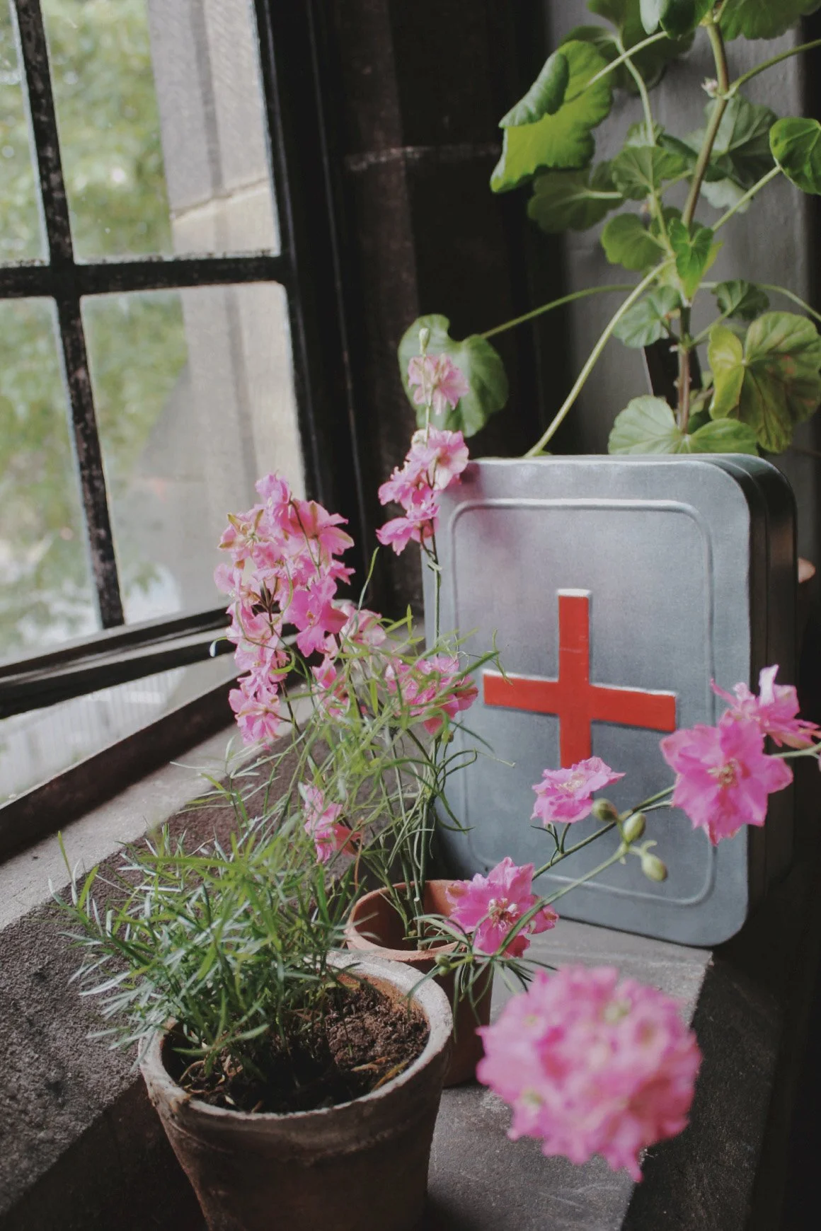 Potager Rescue Tin