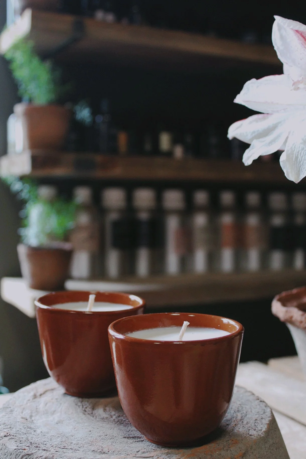The-Wild-Potager-Co-Glazed-Herb-Bed-Candle.jpg.jpeg