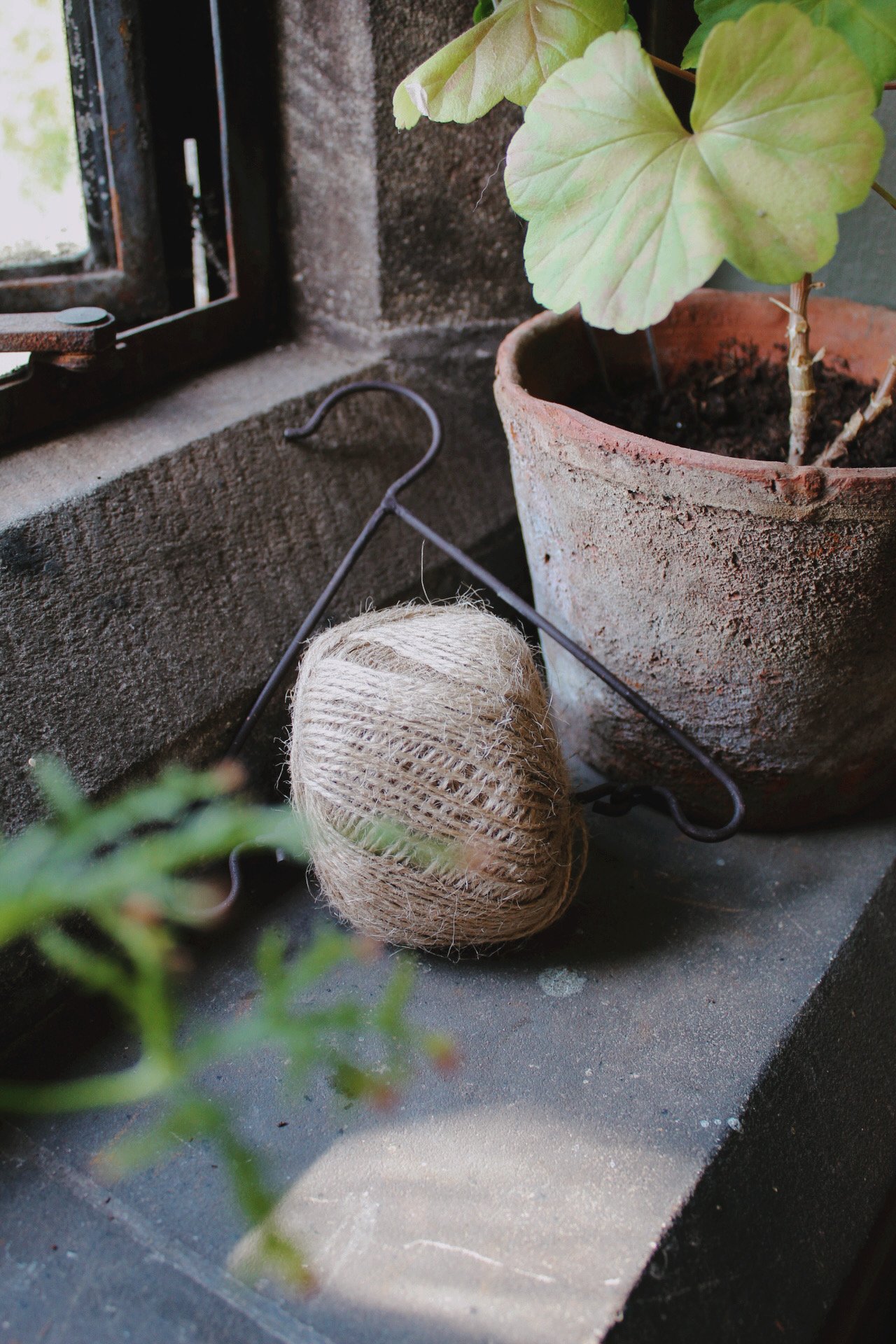 Garden twine holder with natural jute twine beside a terracotta pot in the greenhouse.