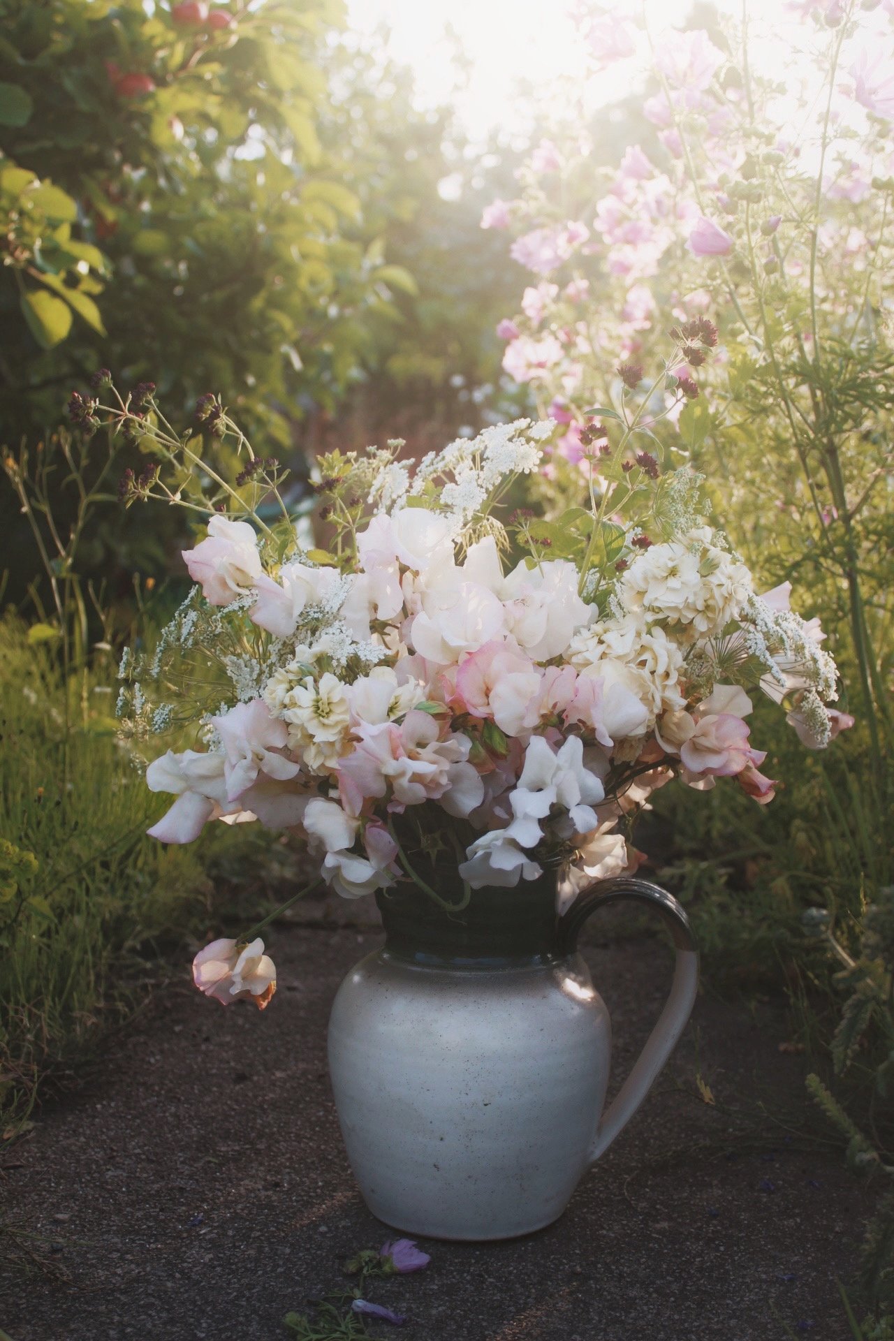 Spring Bouquet Seed Box