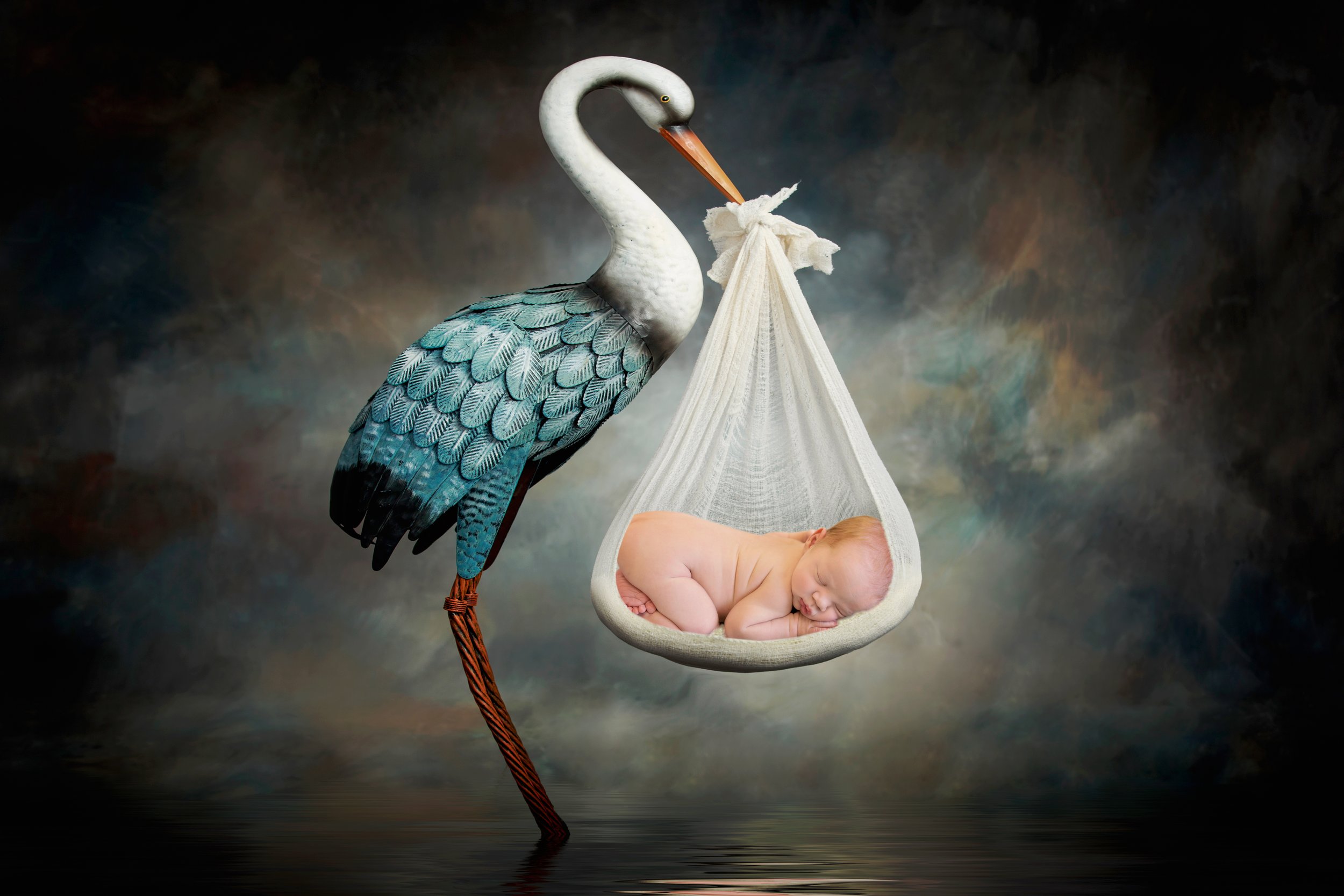 stork bringing a baby boy