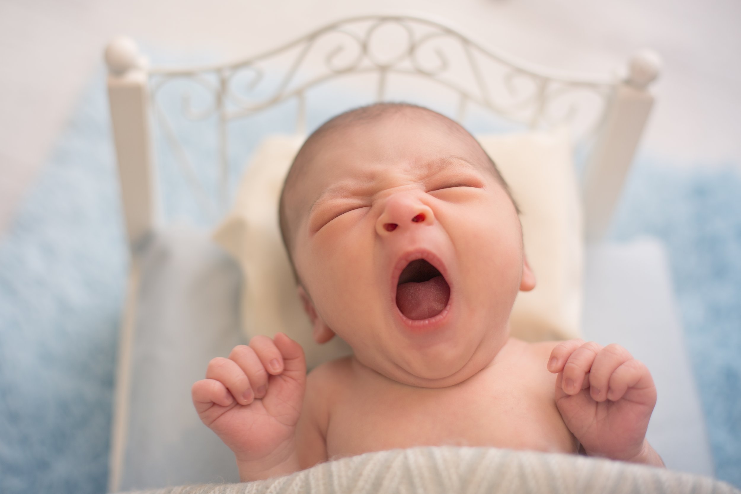 yawning baby boy on fancy bed newborn photo