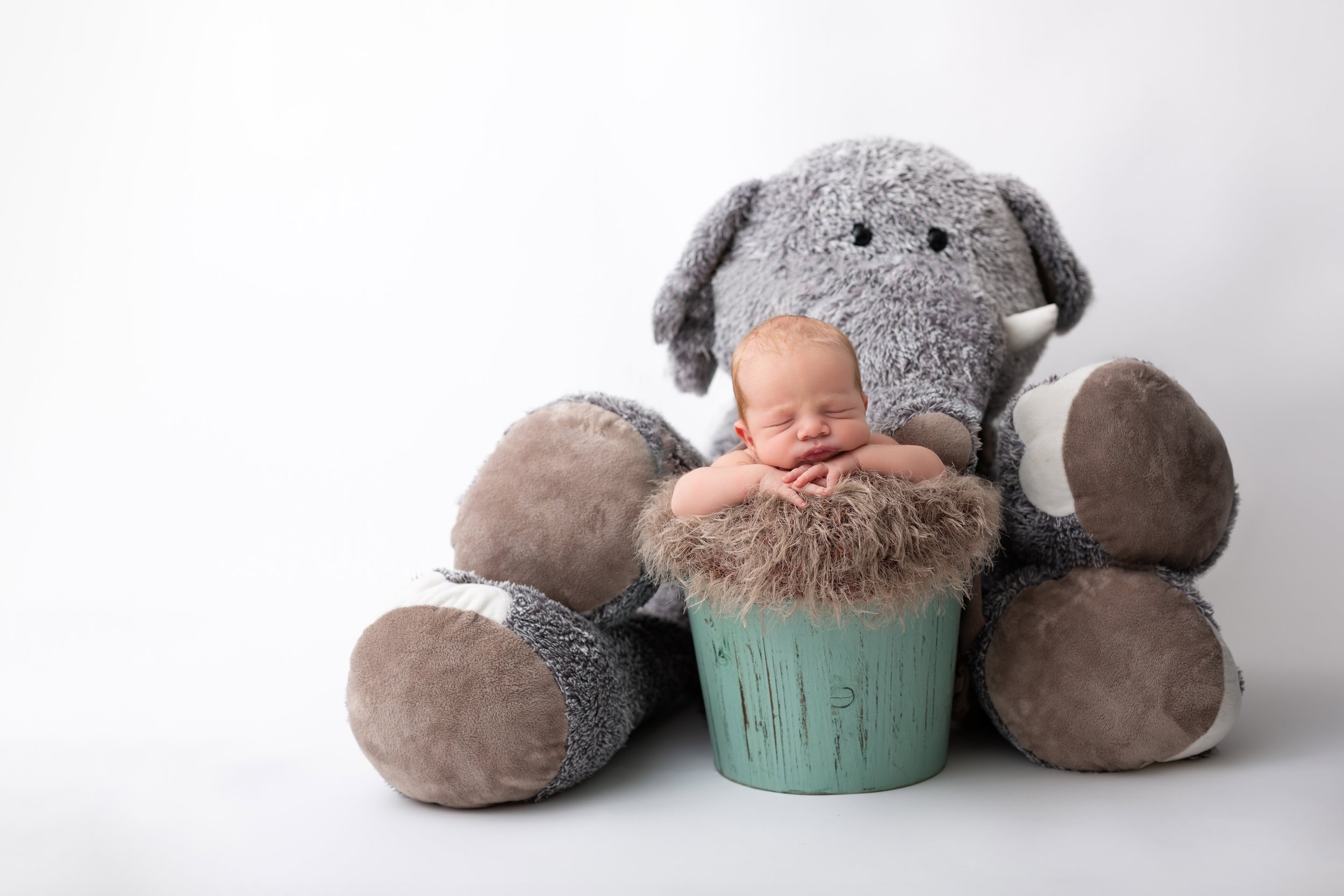 baby boy chin on hands in bucket with stuffed elephant 