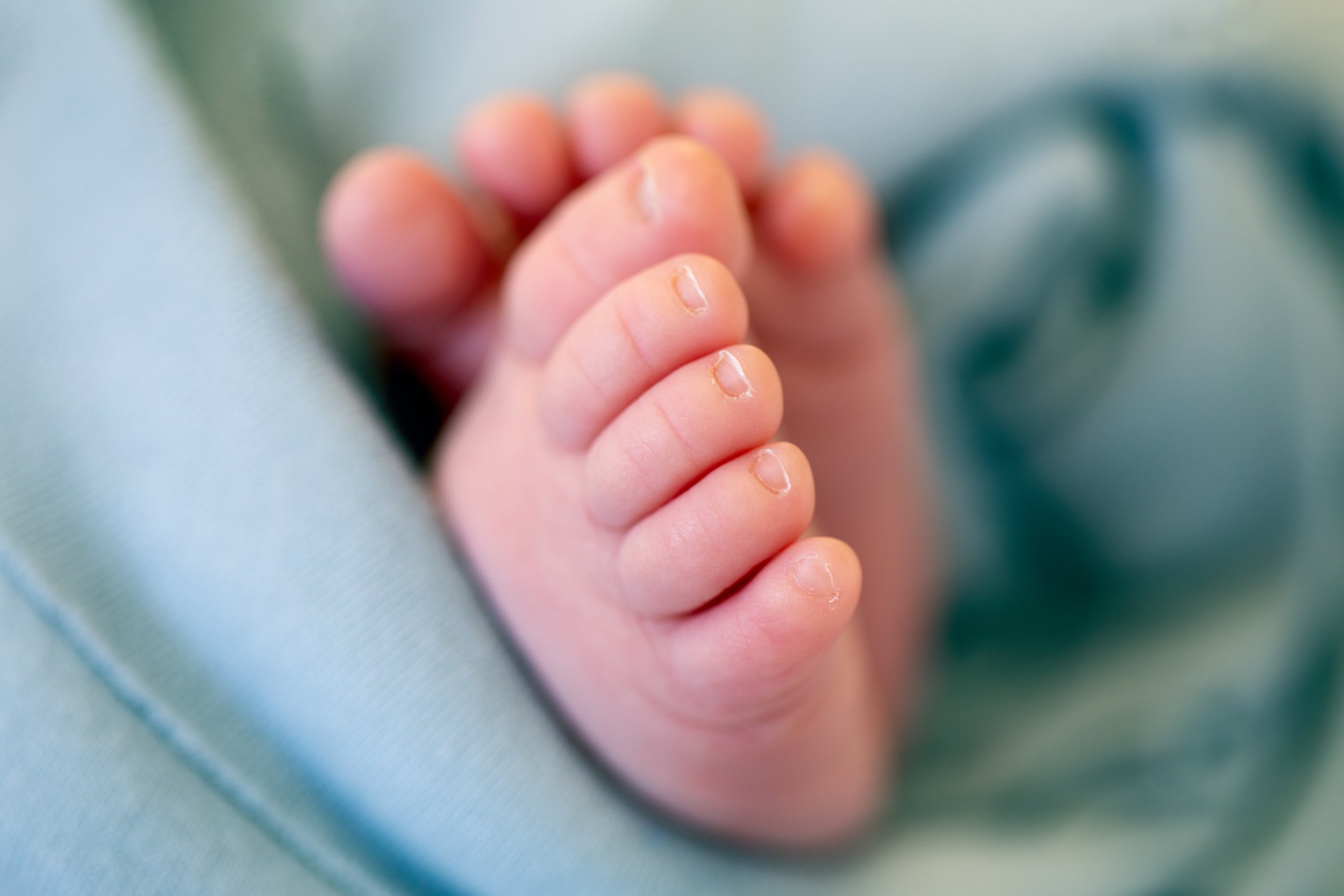 close up picture of tiny newborn feet swaddled in blue 
