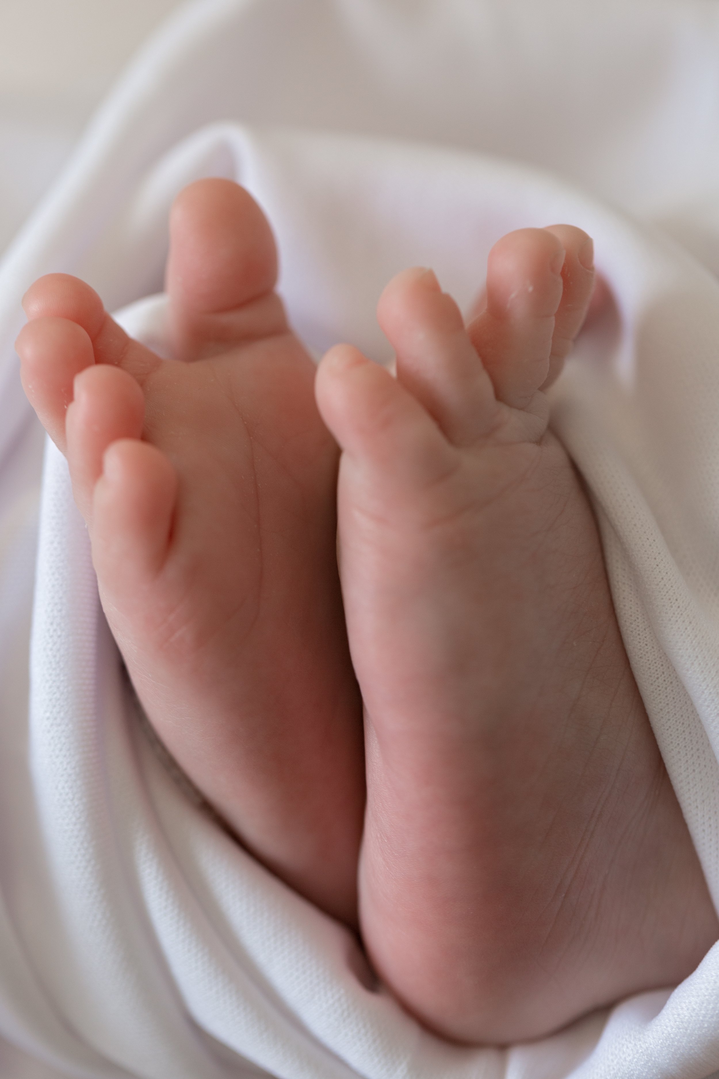 newborn baby feet close up photo