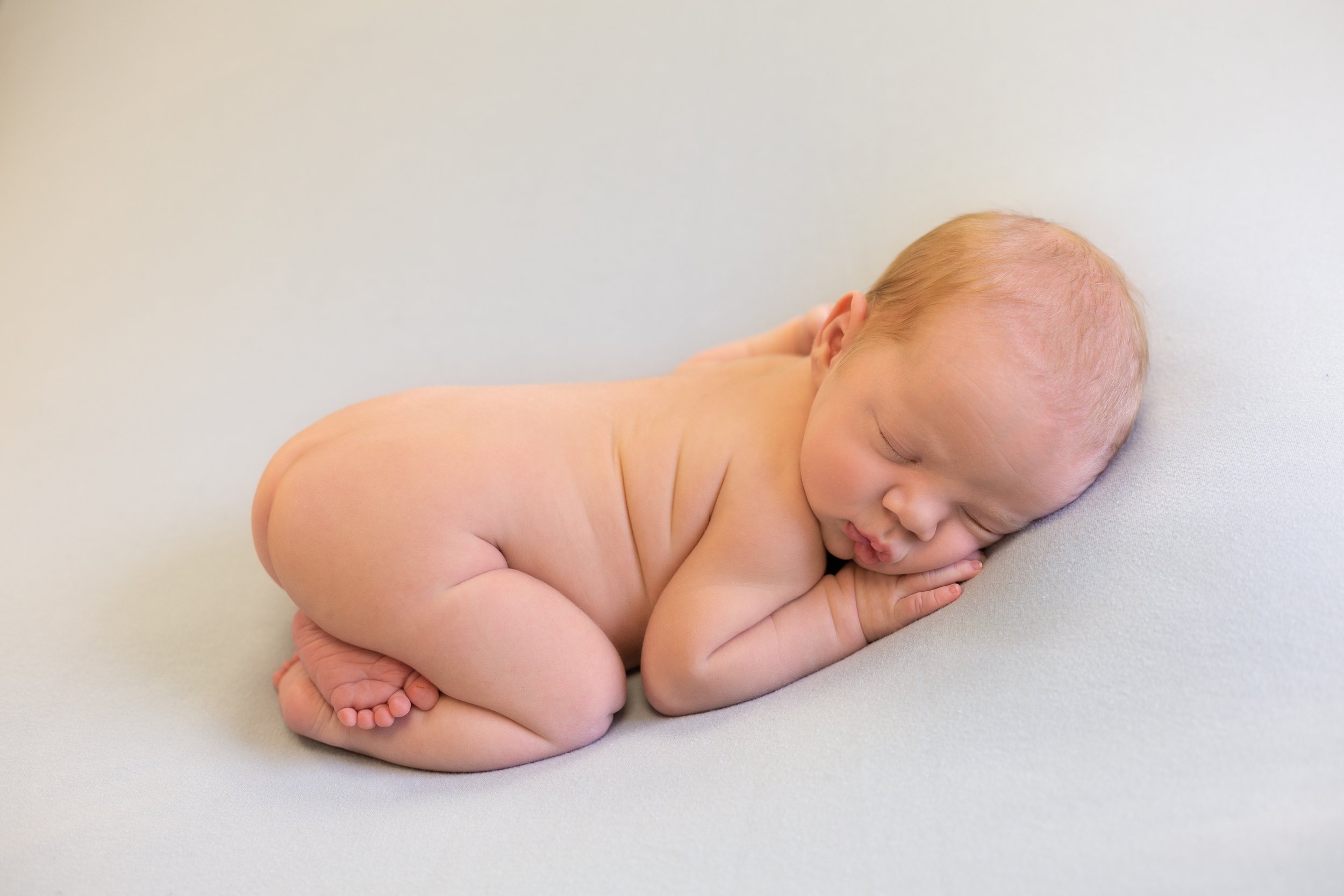 posed newborn baby boy