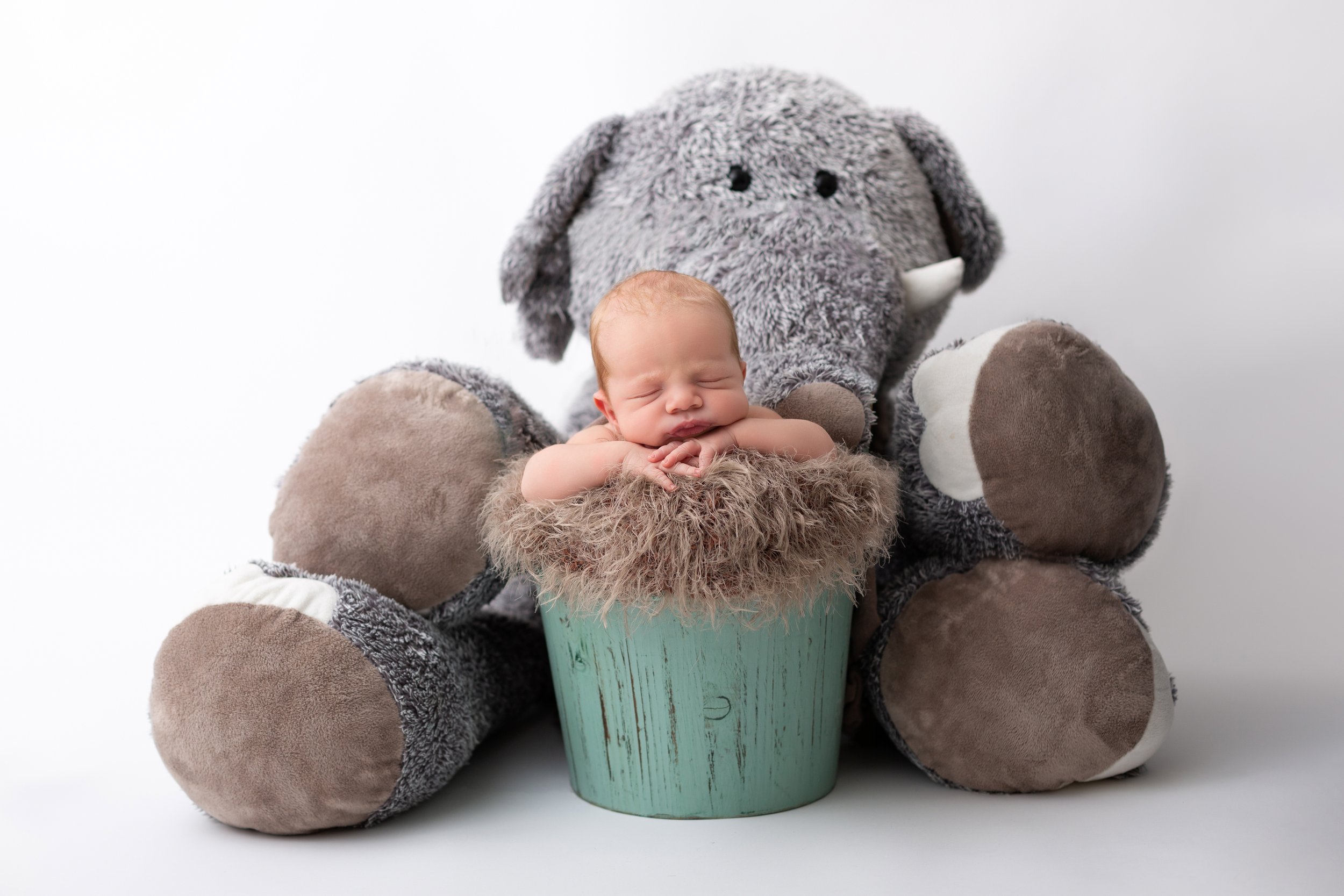 baby boy in bucket posed with stuffed elephant