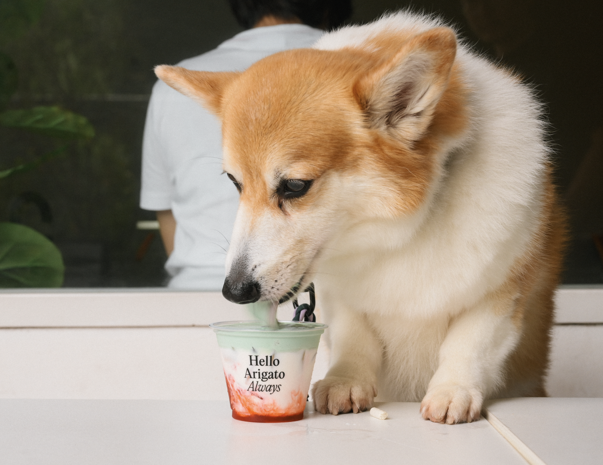 Pet Strawberry Matcha Cloud.png