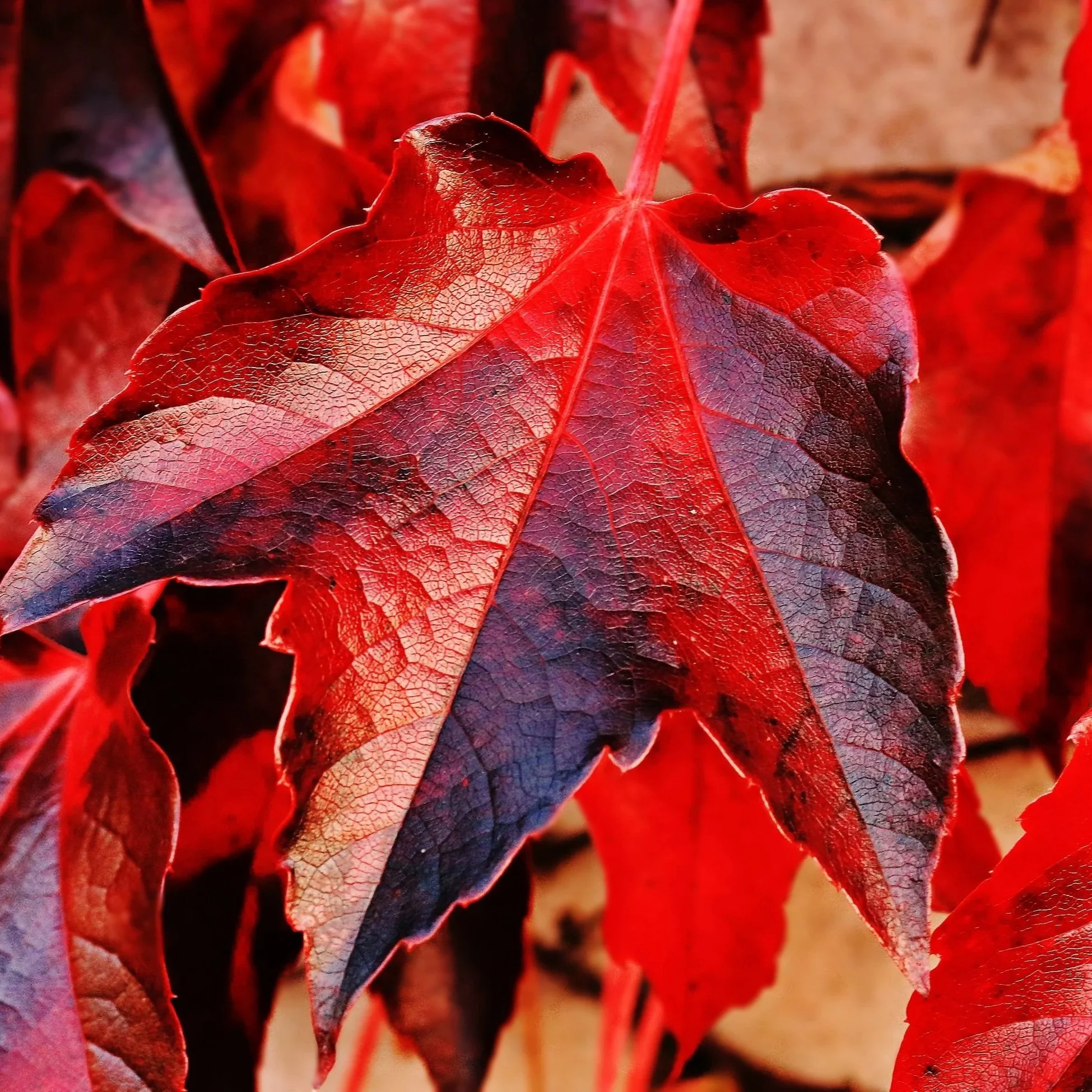 When You are Healing, Change is Inevitable