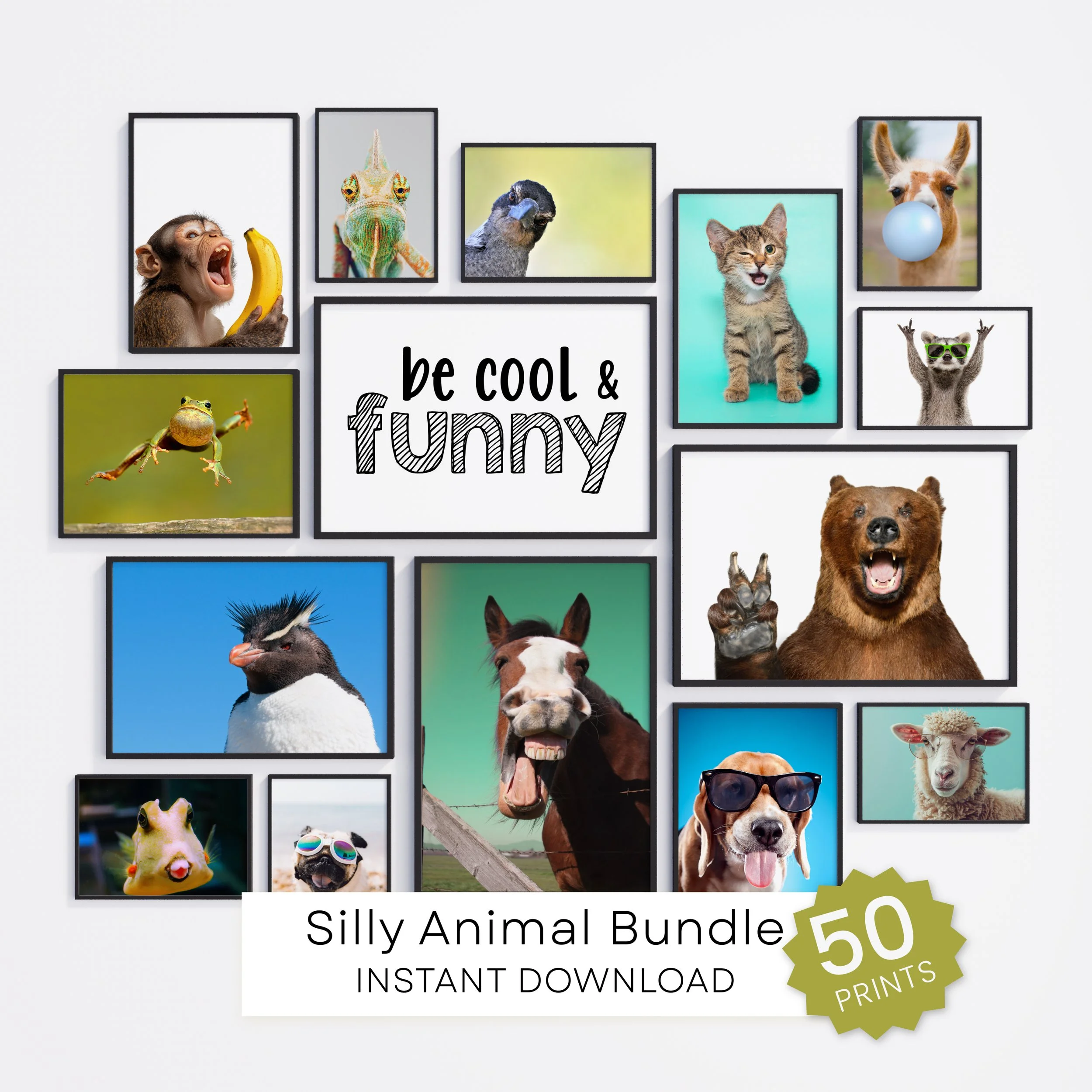 Silly Animals Art Print Bundle