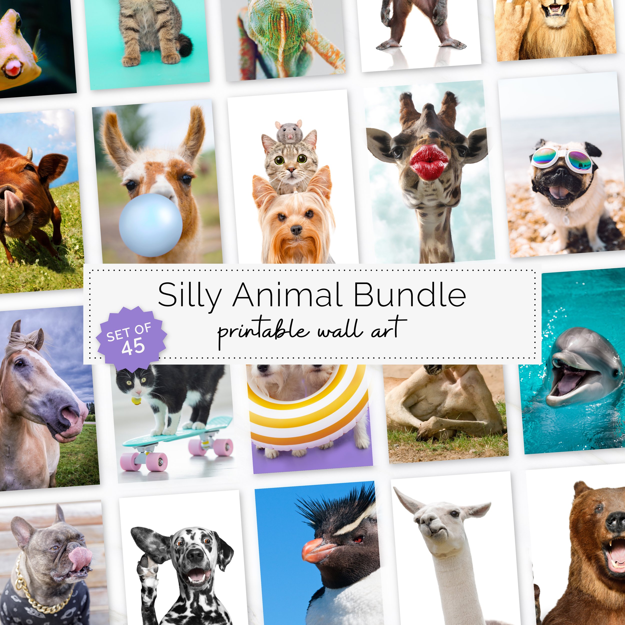 Silly Animals Art Print Bundle