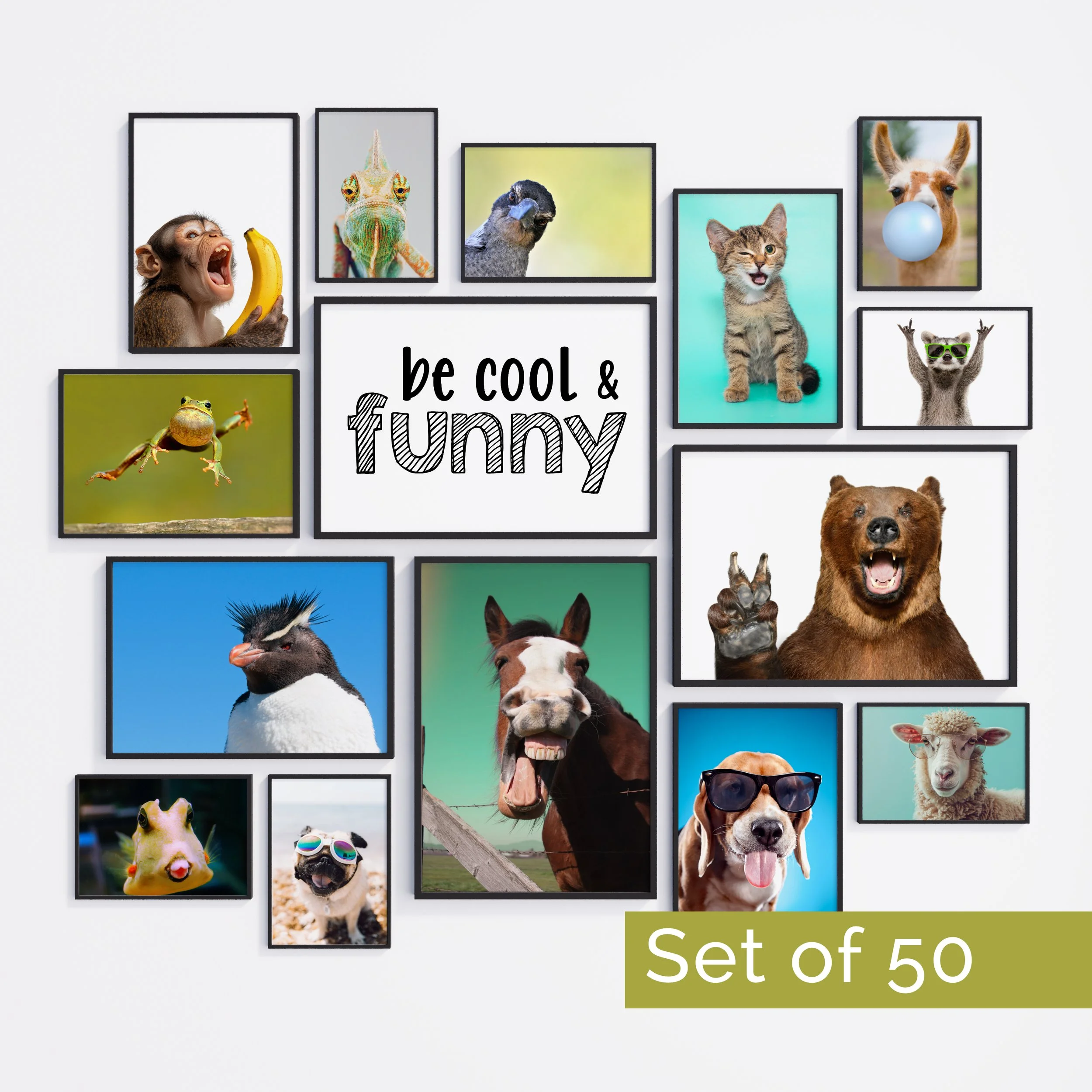 Silly Animals Art Print Bundle