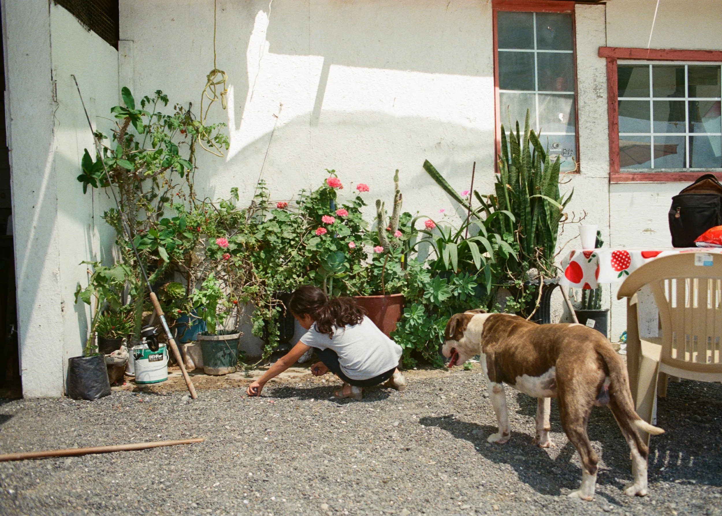 Punta Baja Surf20250719132802-000000020016.jpg