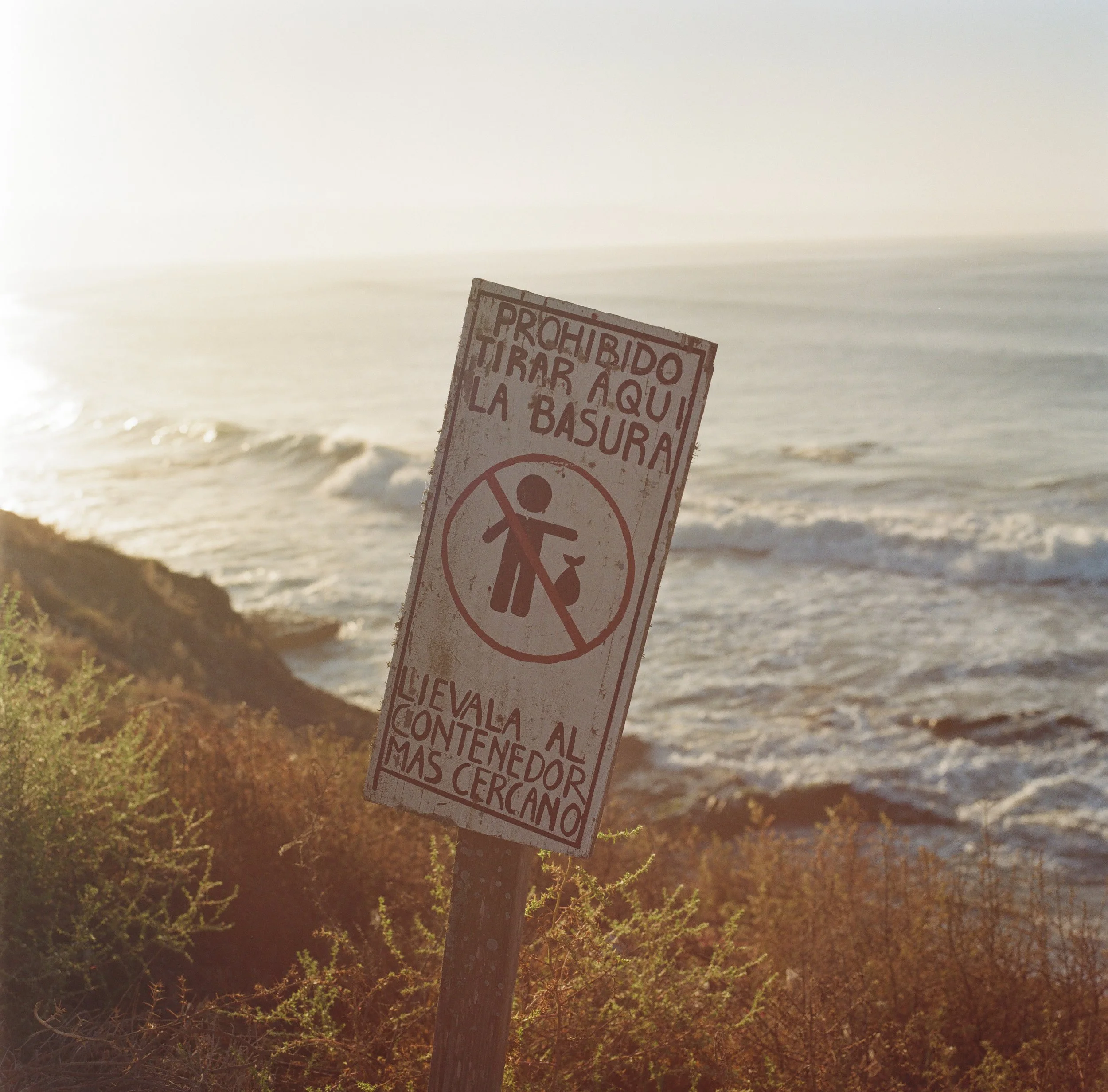 Punta Baja Surf20251008134259-000000030003.jpg