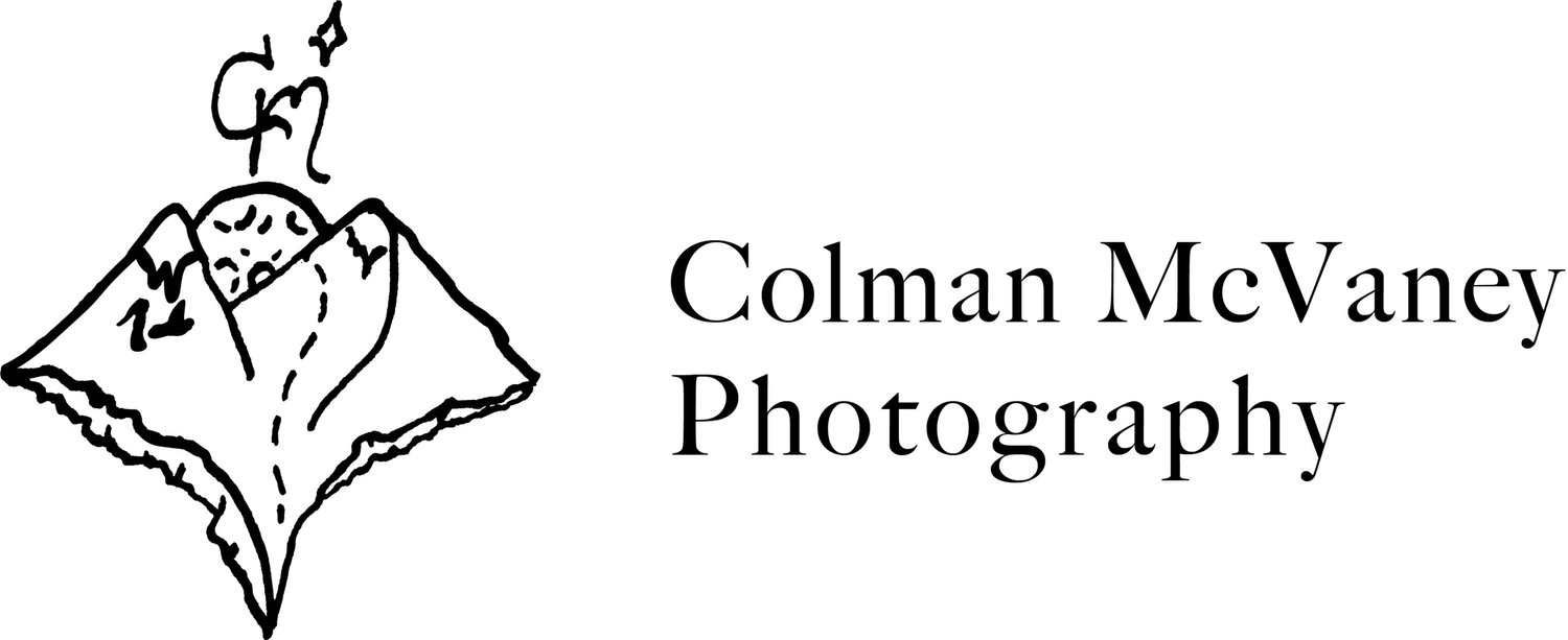 Colman McVaney    |    San Diego Wedding Photographer