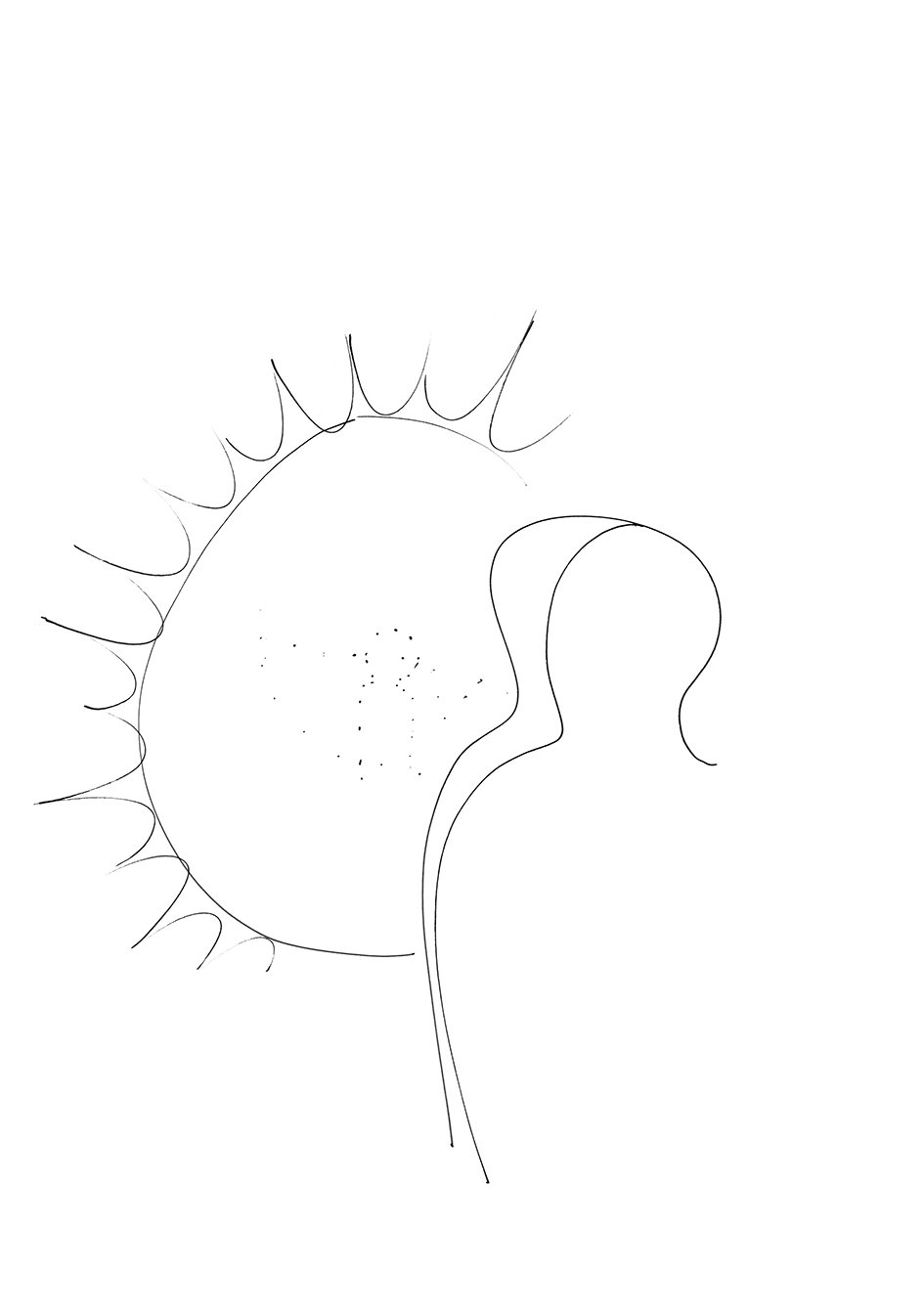 0026_small.jpg
