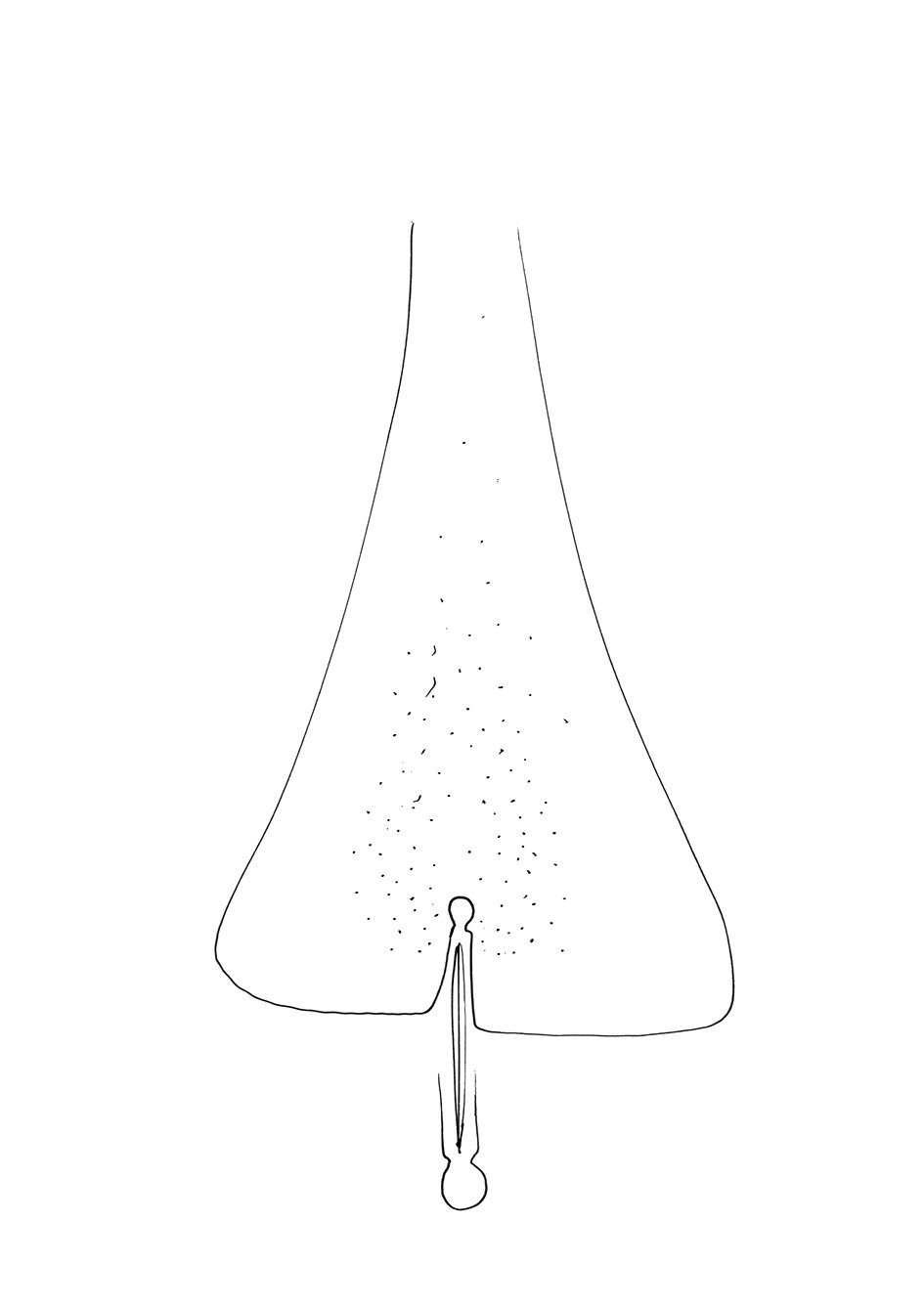 0027_small.jpg