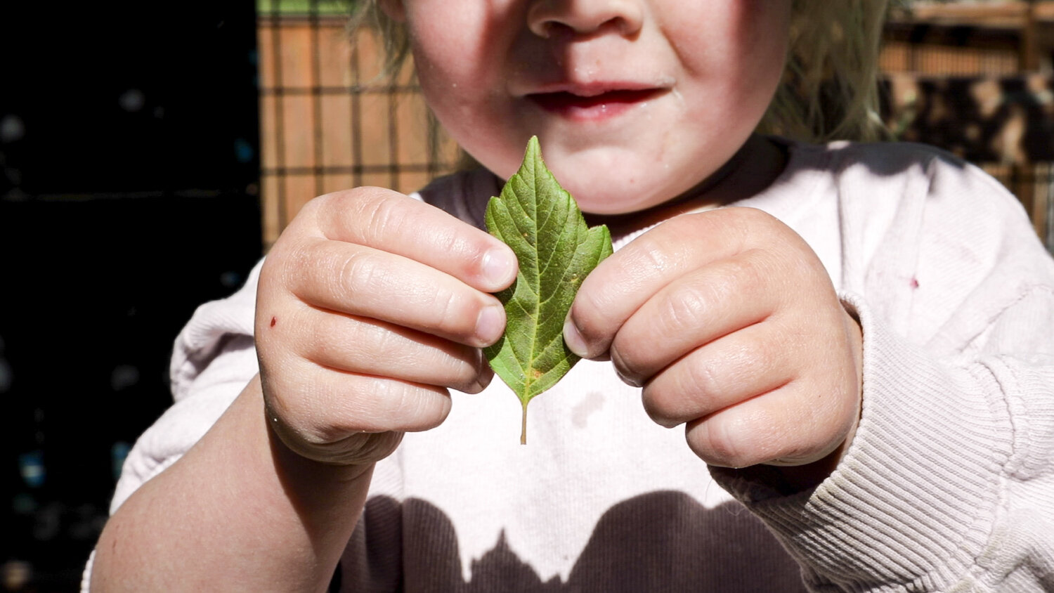 BozemanMontessori--3.jpg