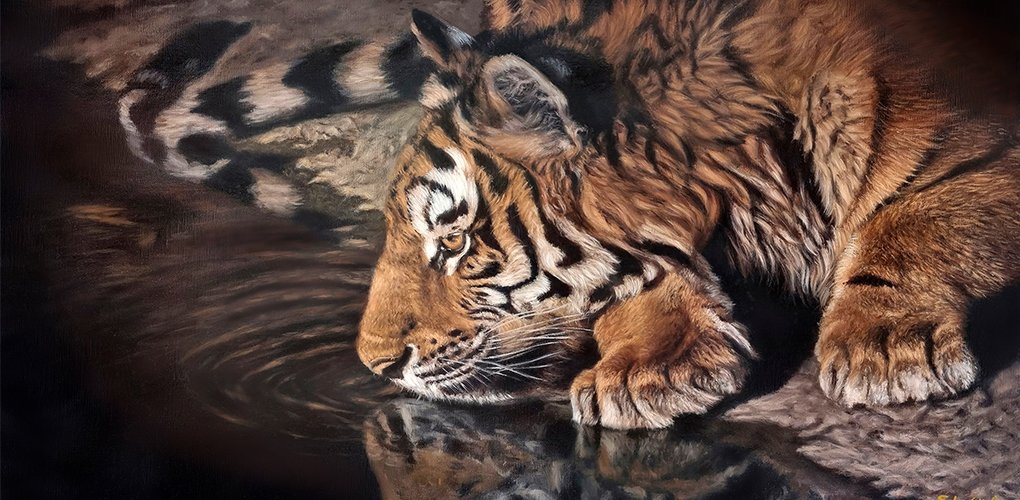 Tiger altered and small.jpg