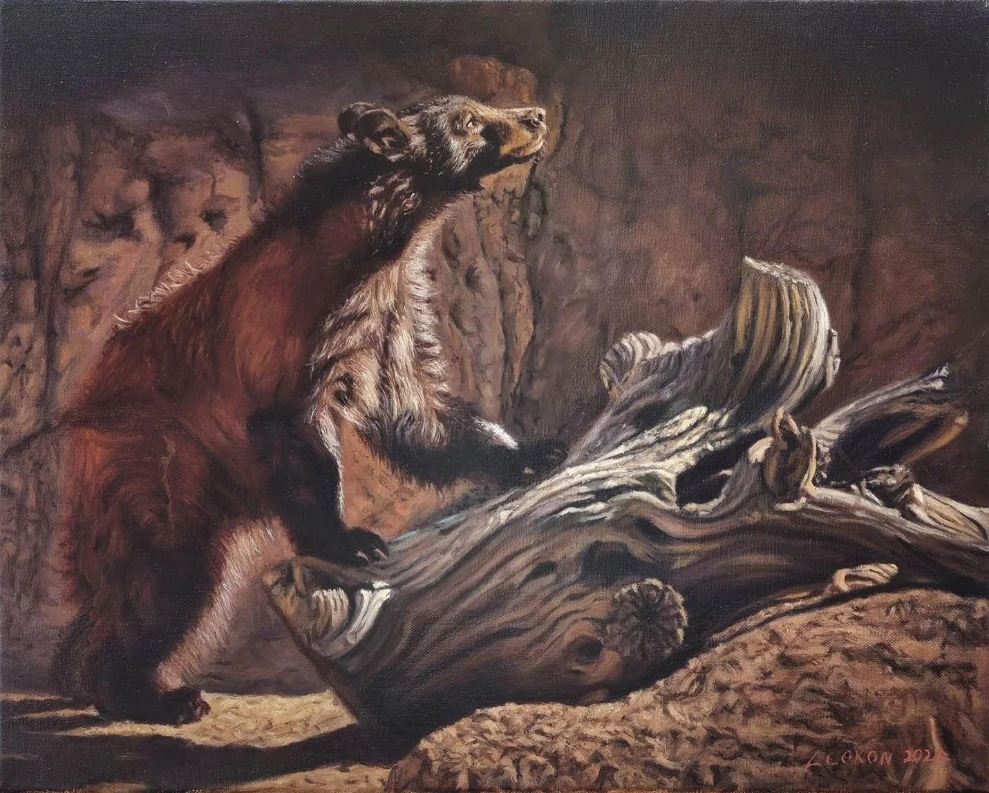 003_Bear_50_5 x 40_5_cm.jpg1.jpg