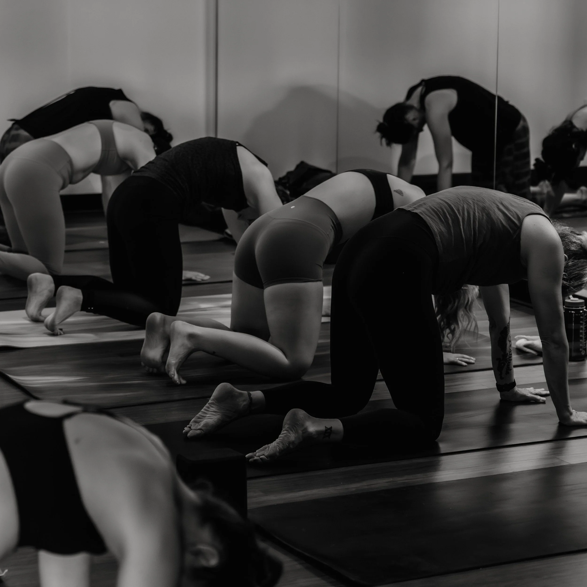 🤍 Memorial Day Weekend Schedule Reminder 🤍

We&rsquo;ll be running modified schedules Friday through Monday at both our Saint Paul and Northeast Studios.

If you&rsquo;re planning to join us, please sign up ahead of time. Classes may fill quickly -