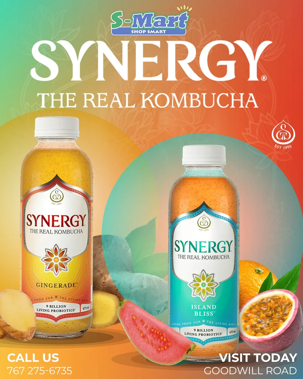 Advertisement for SYNERGY The Real Kombucha, featuring two bottles of kombucha flavors Gosnded Gingerade and Island Bliss, surrounded by ginger, a slice of watermelon, and a passion fruit, with a colorful background and contact information for Goodwi